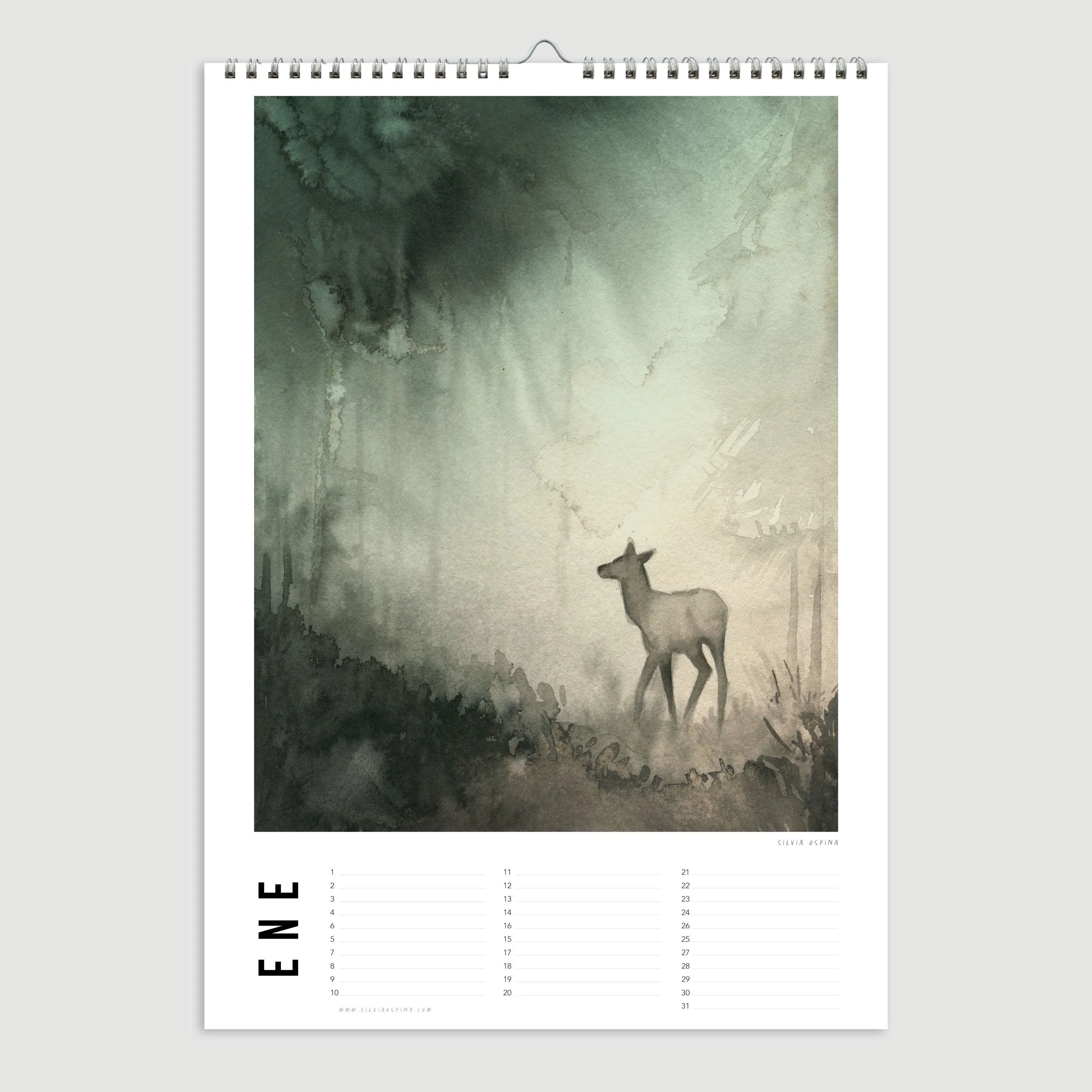 A4 2026 Illustrated Calendar