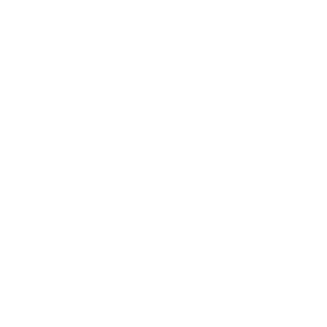 The GTM Team  |   Strategy • Action • Growth