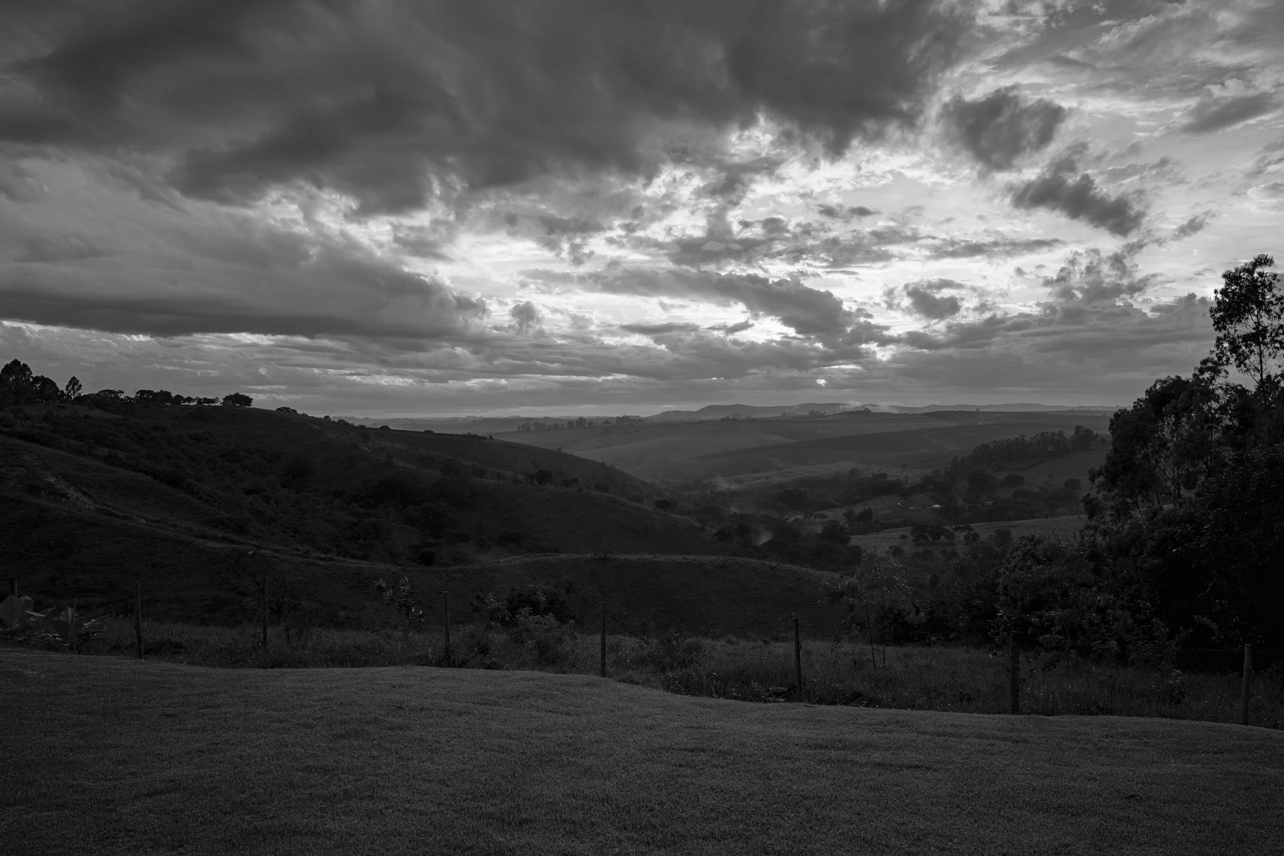 A black and white landscape of rolling hills and scattered trees under a cloudy sky.