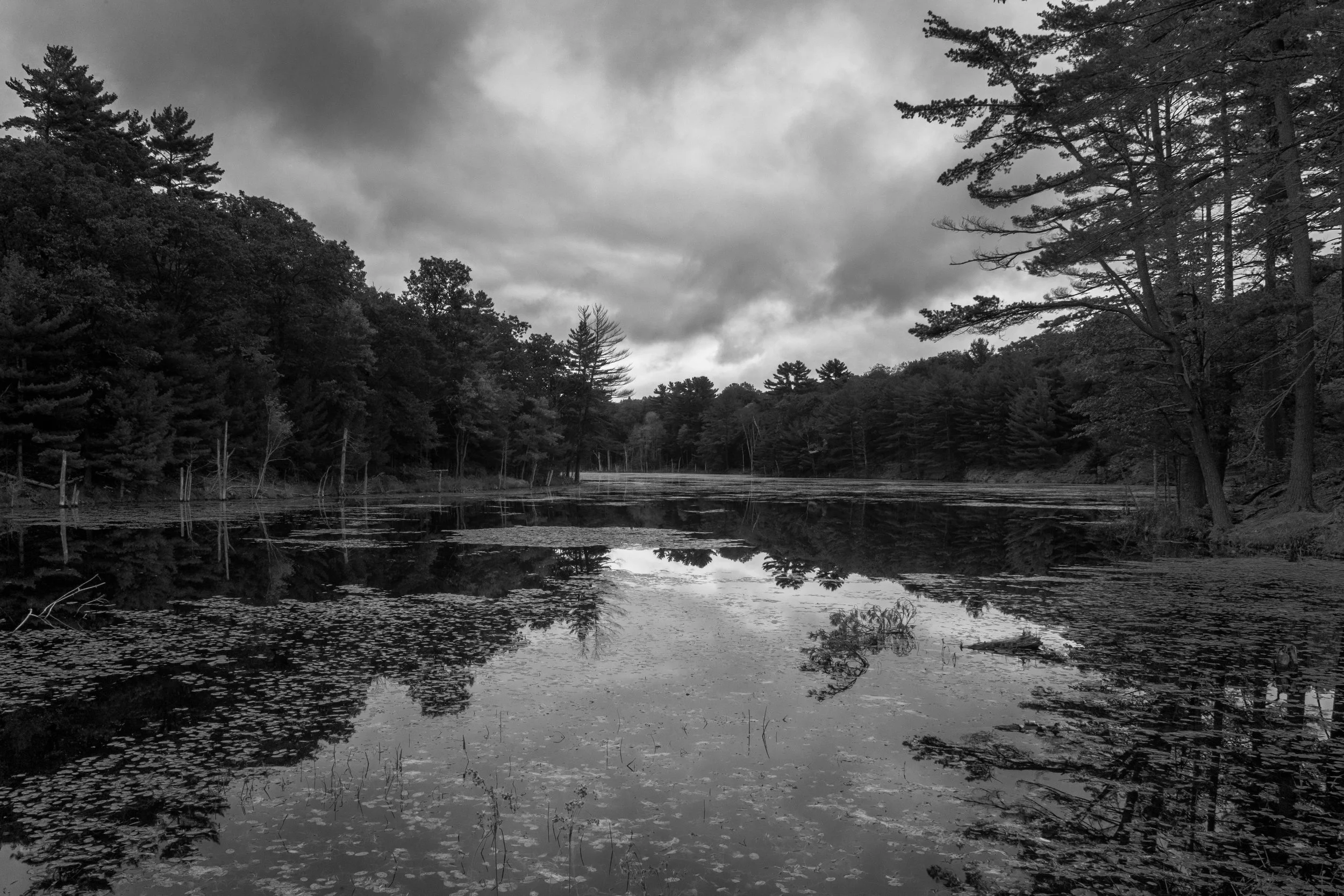 Black and white photograph of a forested area with a body of water, trees along the water's edge, and dark clouds overhead.