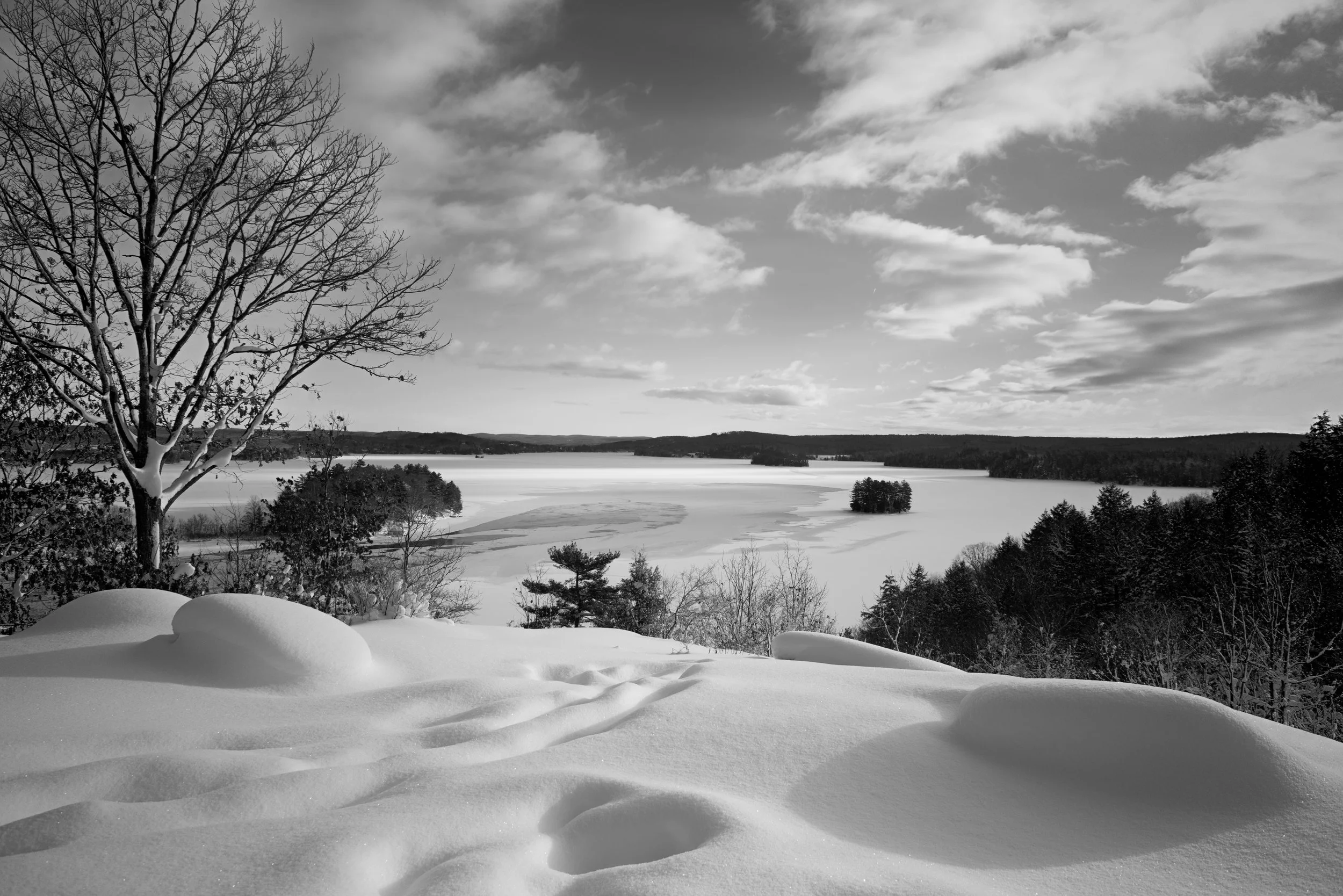 snow-covered landscape with a leafless tree in the foreground, and a frozen lake or river with small clusters of trees in the distance, under a partly cloudy sky.