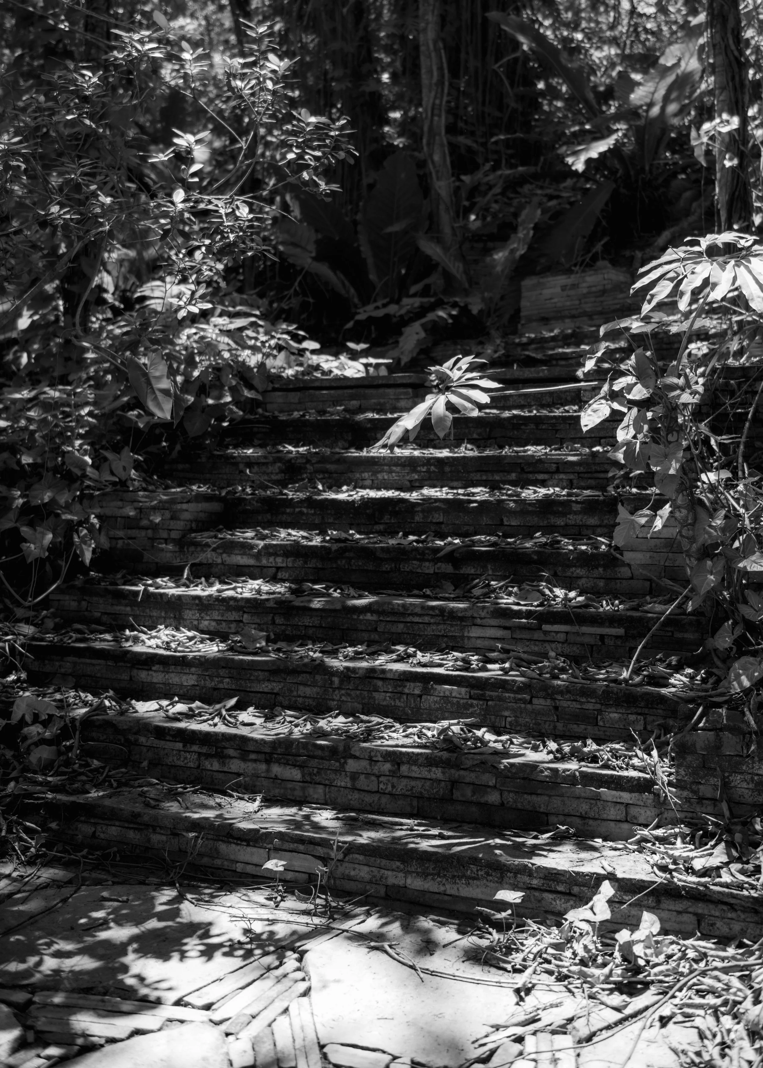 _DSC8902.jpg