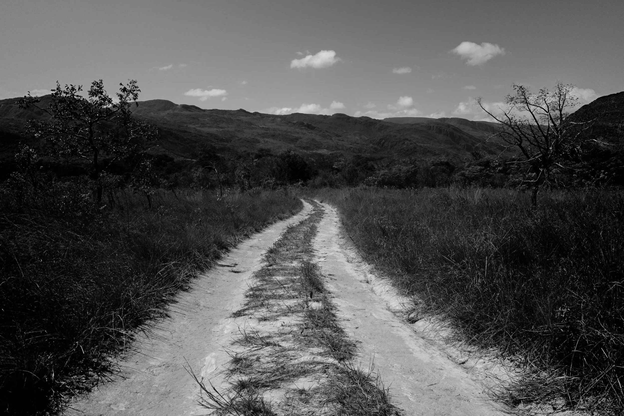A black and white landscape featuring a dirt road winding through grassy terrain with scattered trees, mountains in the background, and a partly cloudy sky.