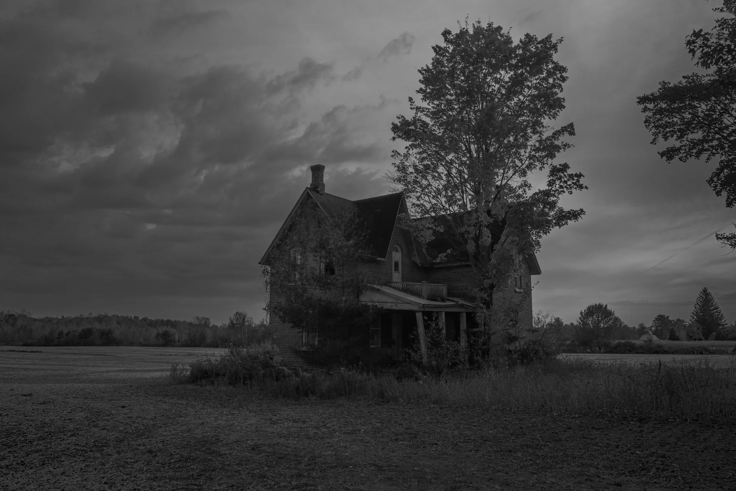 A black and white photo of an old, abandoned house with a steep roof and a chimney, surrounded by trees and an open field, under a cloudy sky.