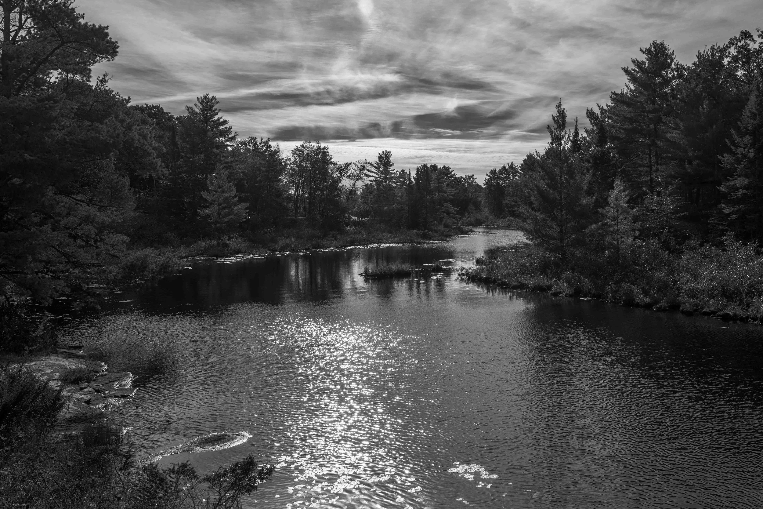 A black and white photo of a river flowing through a forested area with trees on both sides and a cloudy sky overhead.