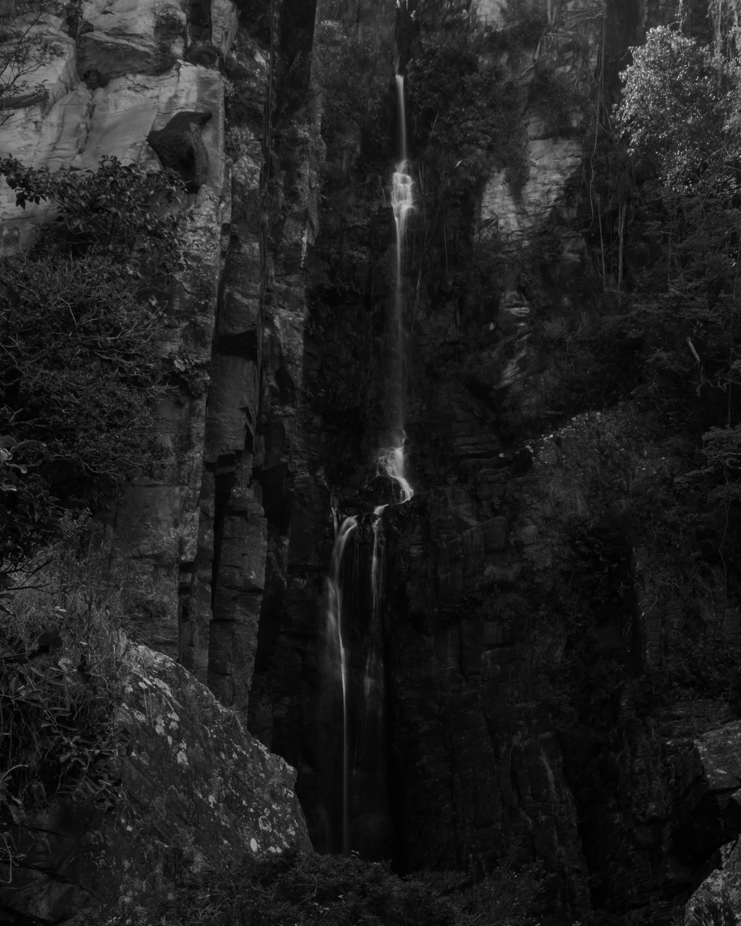 A black and white photograph of a waterfall cascading down a rocky cliff surrounded by trees and foliage.