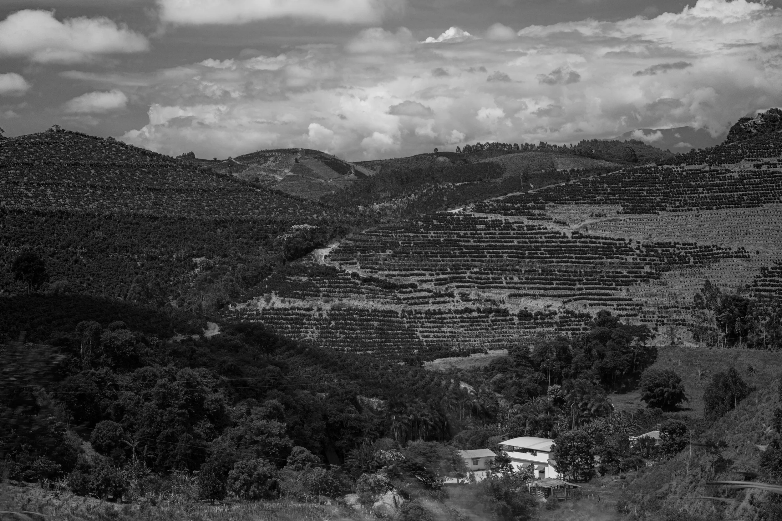 Scenic landscape of rolling hills with terraced farming, trees, and scattered houses under a partly cloudy sky.