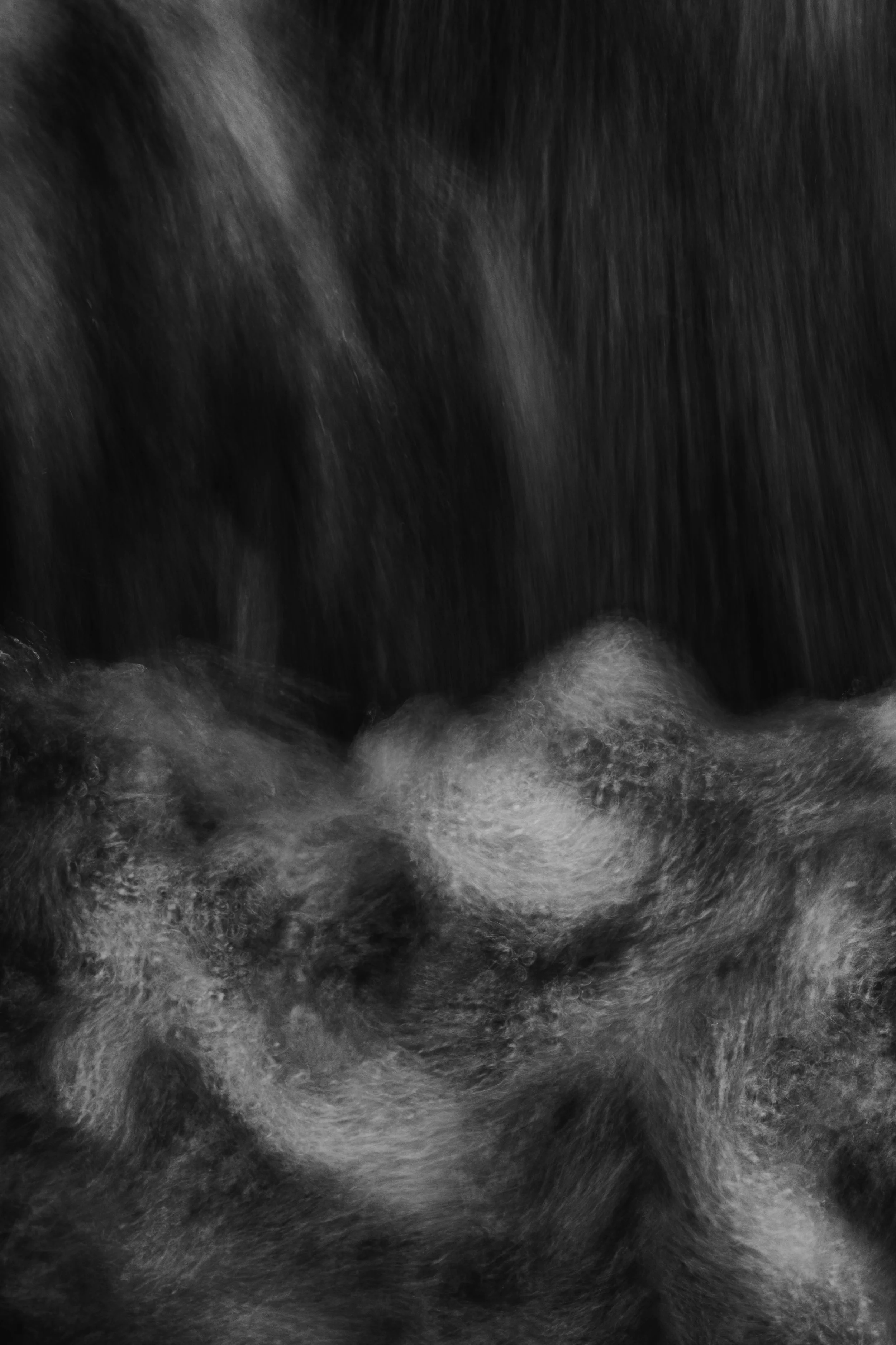 Close-up of a dog drinking from water, focusing on the nose and surrounding fur in black and white.