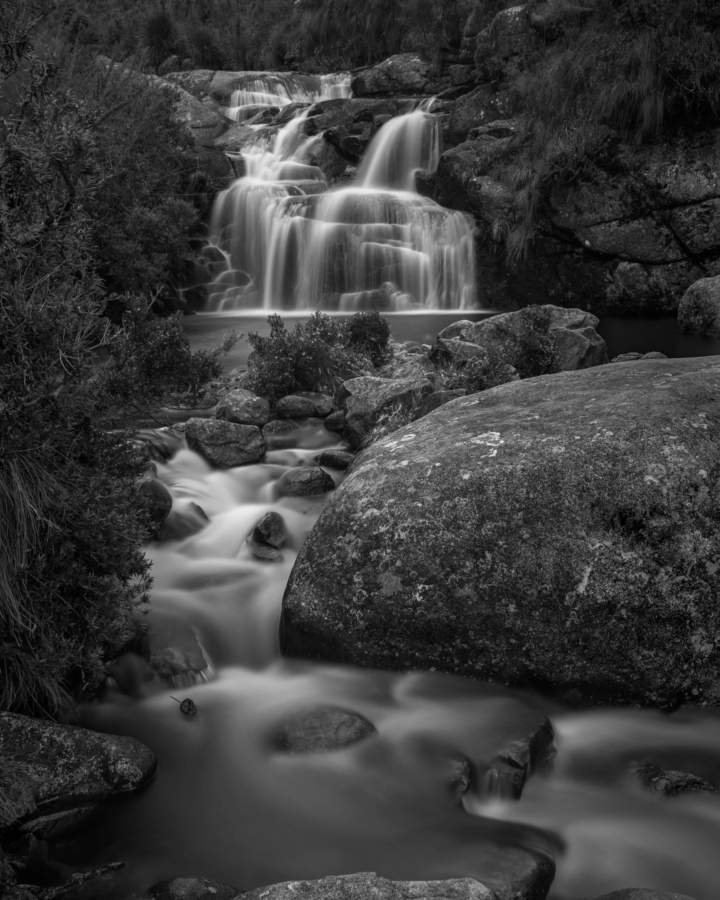 Black and white photo of a small waterfall cascading over rocks surrounded by vegetation.