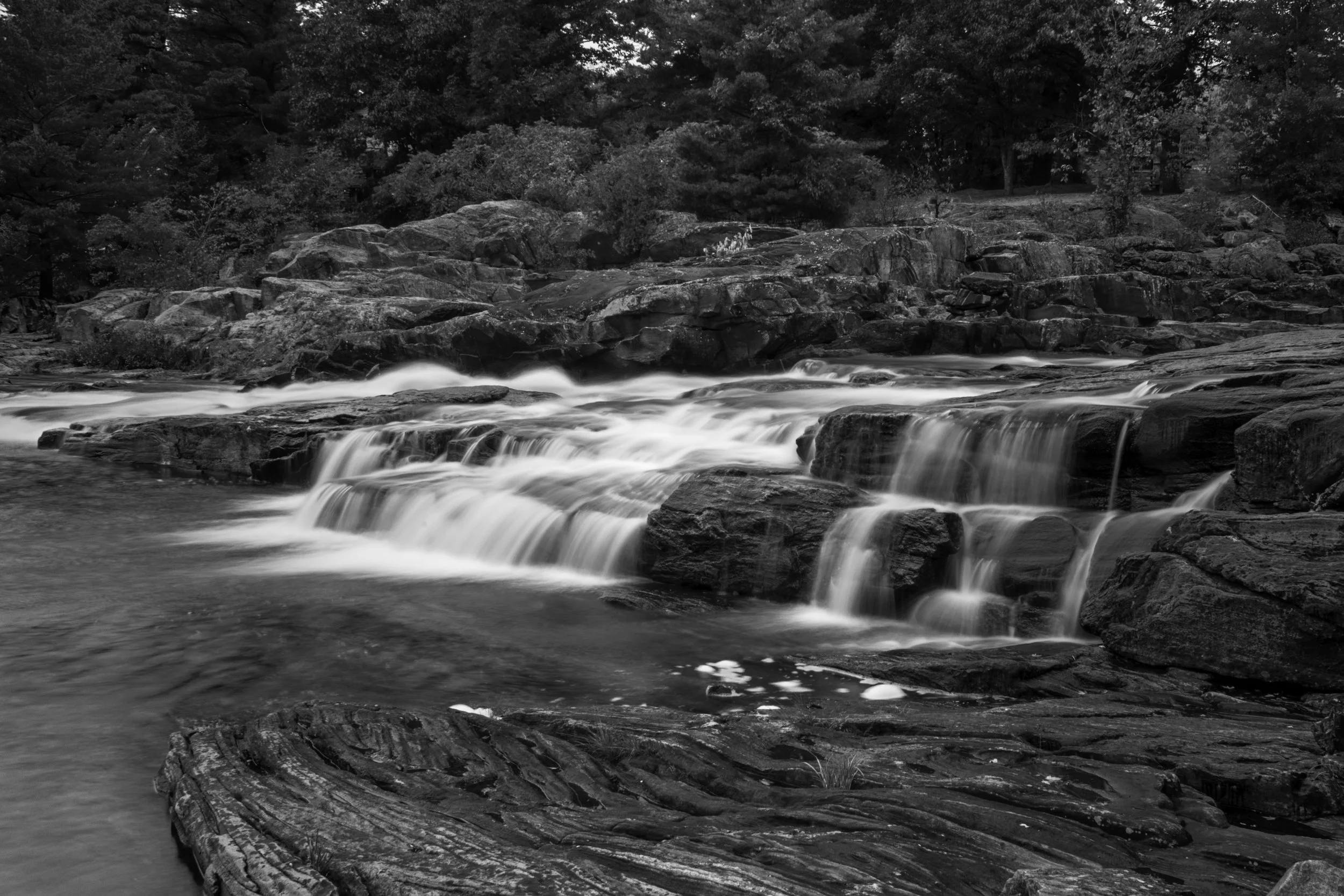 Flowing river with rocks and trees in the background in black and white.