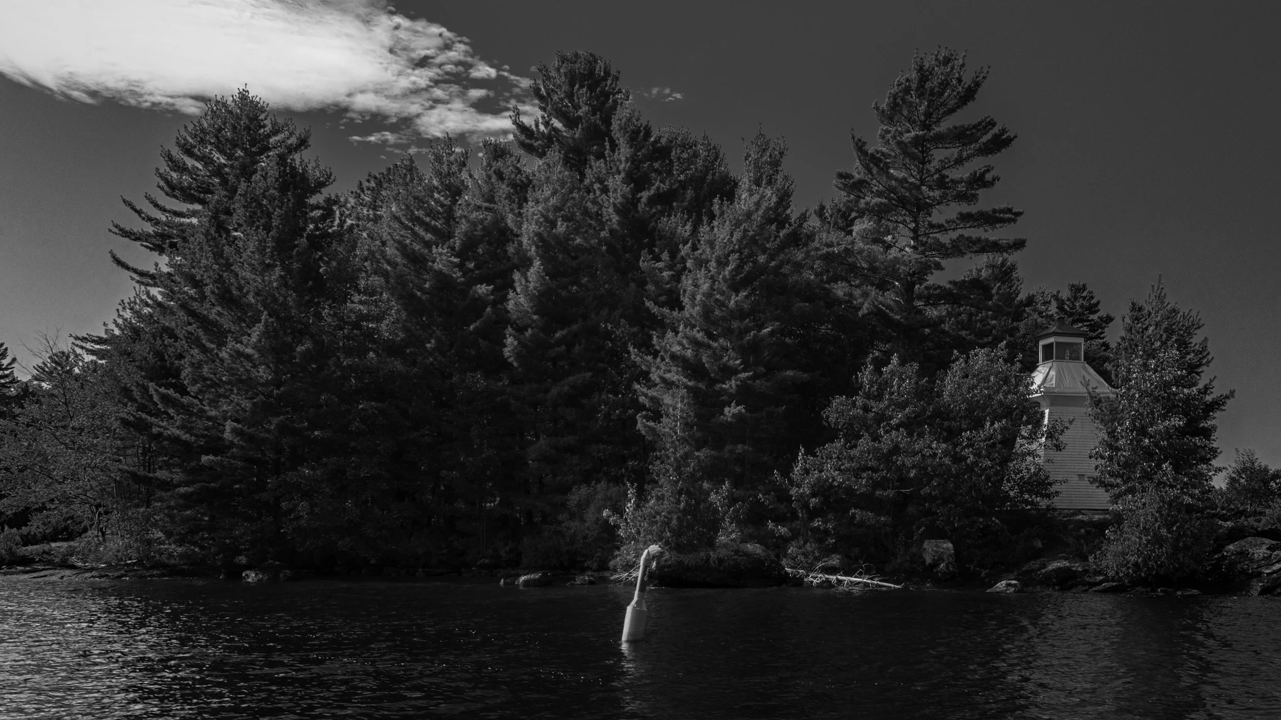 Black and white photo of a lakeside scene with large trees and a small building, possibly a lighthouse or water tower, partially obscured by trees.