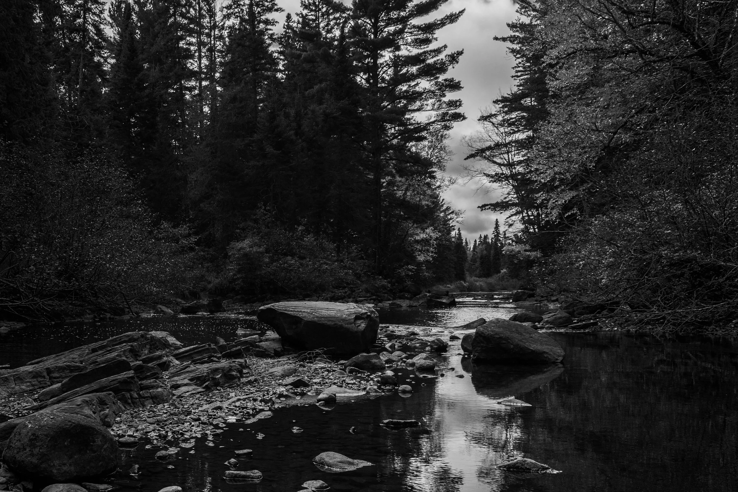 A black and white image of a forested river scene with tall pine trees, rocks and a flowing stream, under a cloudy sky.