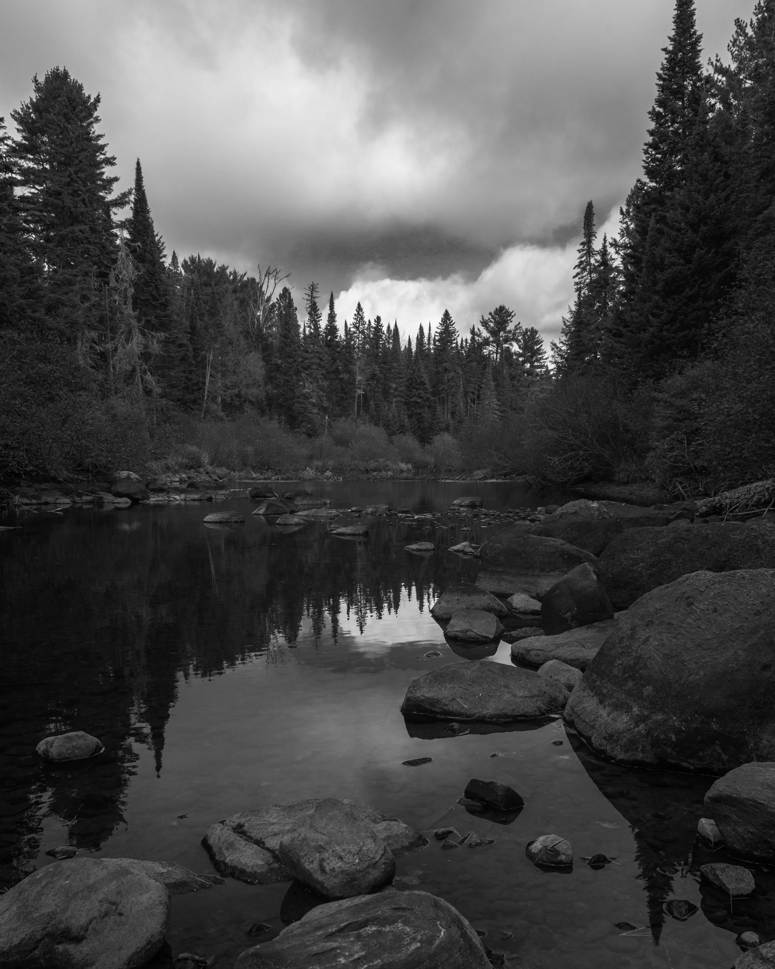 A black and white photo of a river surrounded by tall pine trees with a cloudy, overcast sky.