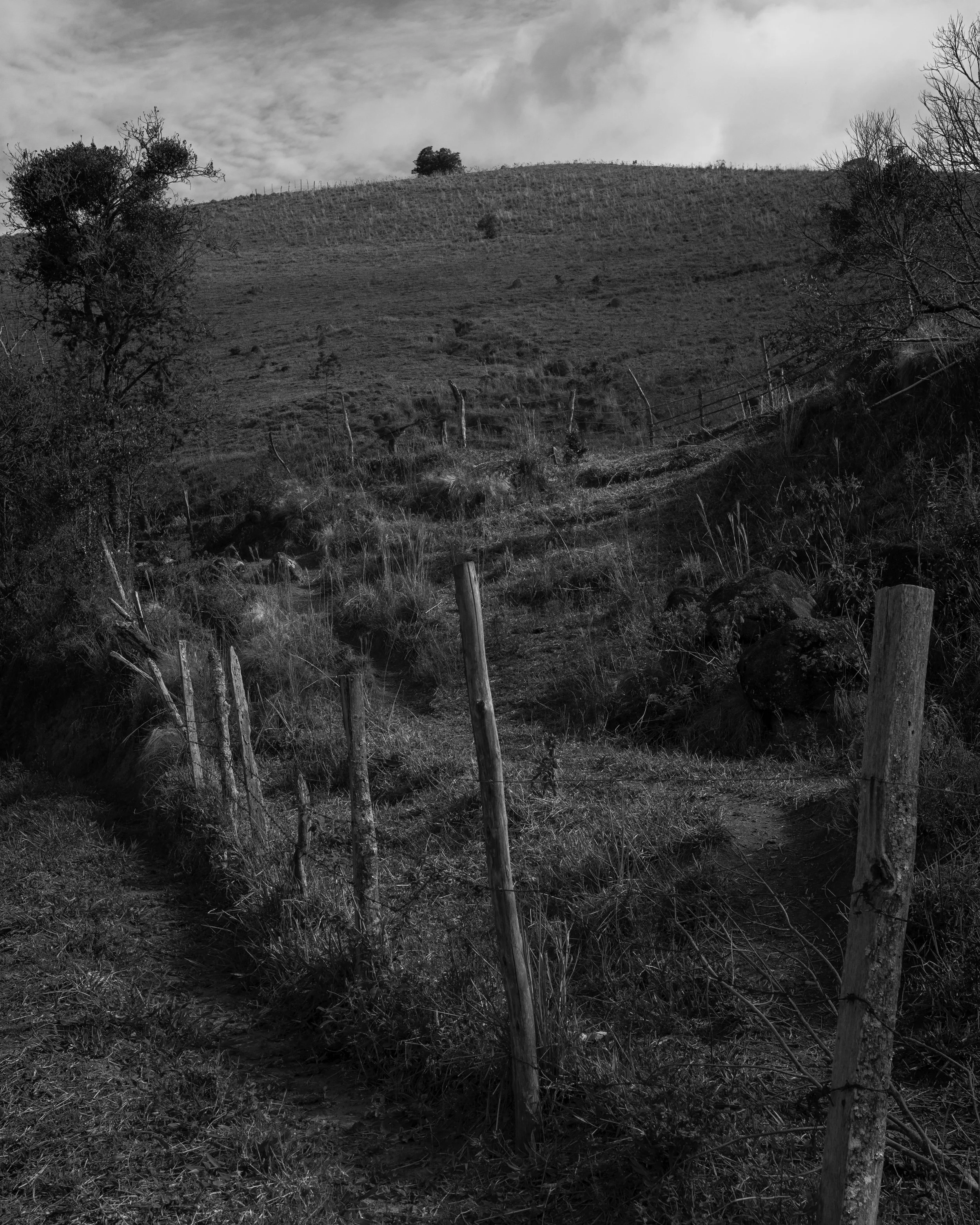 A black and white photograph of a rural hillside with a dirt path, barbed wire fence, trees, and cloudy sky.