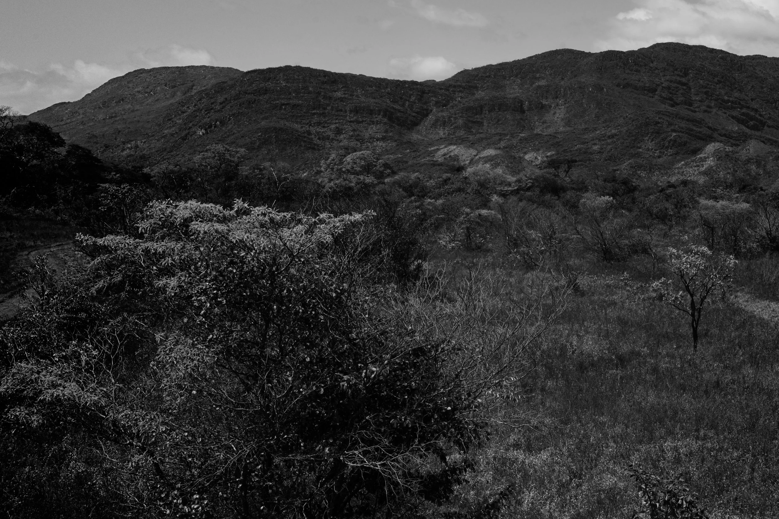 A black and white photograph of a mountainous landscape with trees and vegetation in the foreground.
