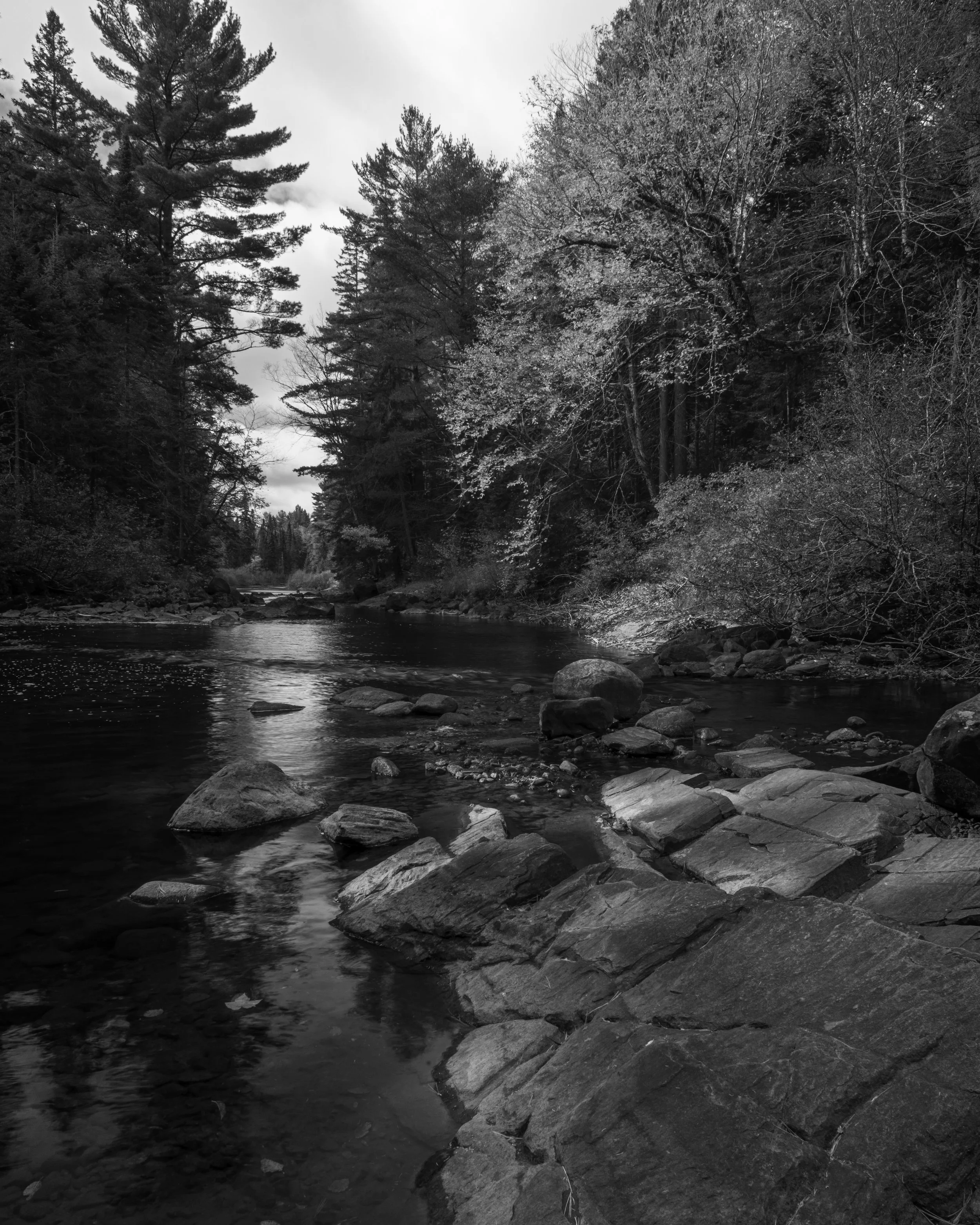 A black and white photo of a river flowing through a forested area with tall pine trees and other trees along the riverbank, with rocks in the water and a cloudy sky overhead.