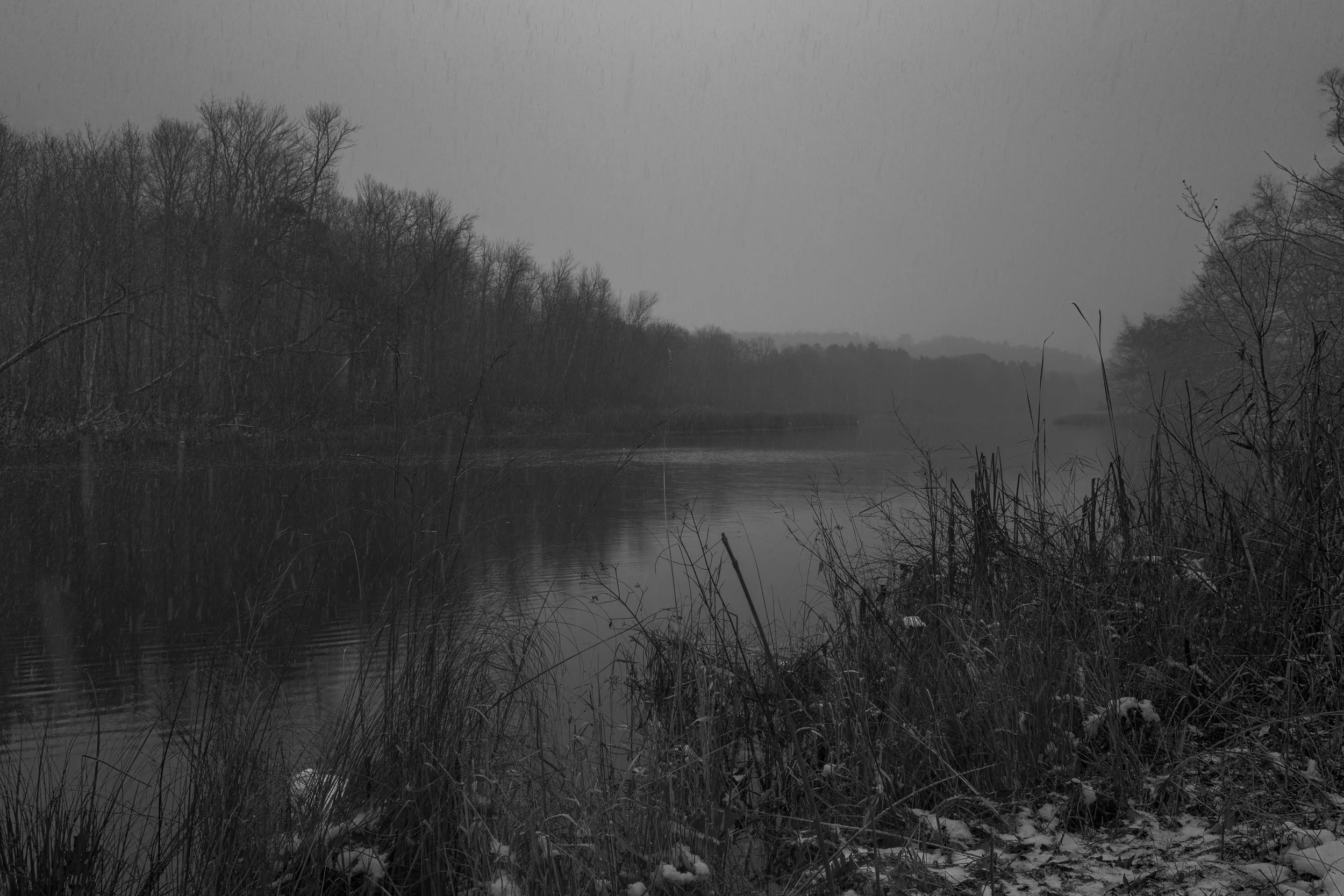 A black and white photograph of a river surrounded by trees with barren branches, indicating winter or late autumn, with tall grass and some snow on the ground, and rain falling.