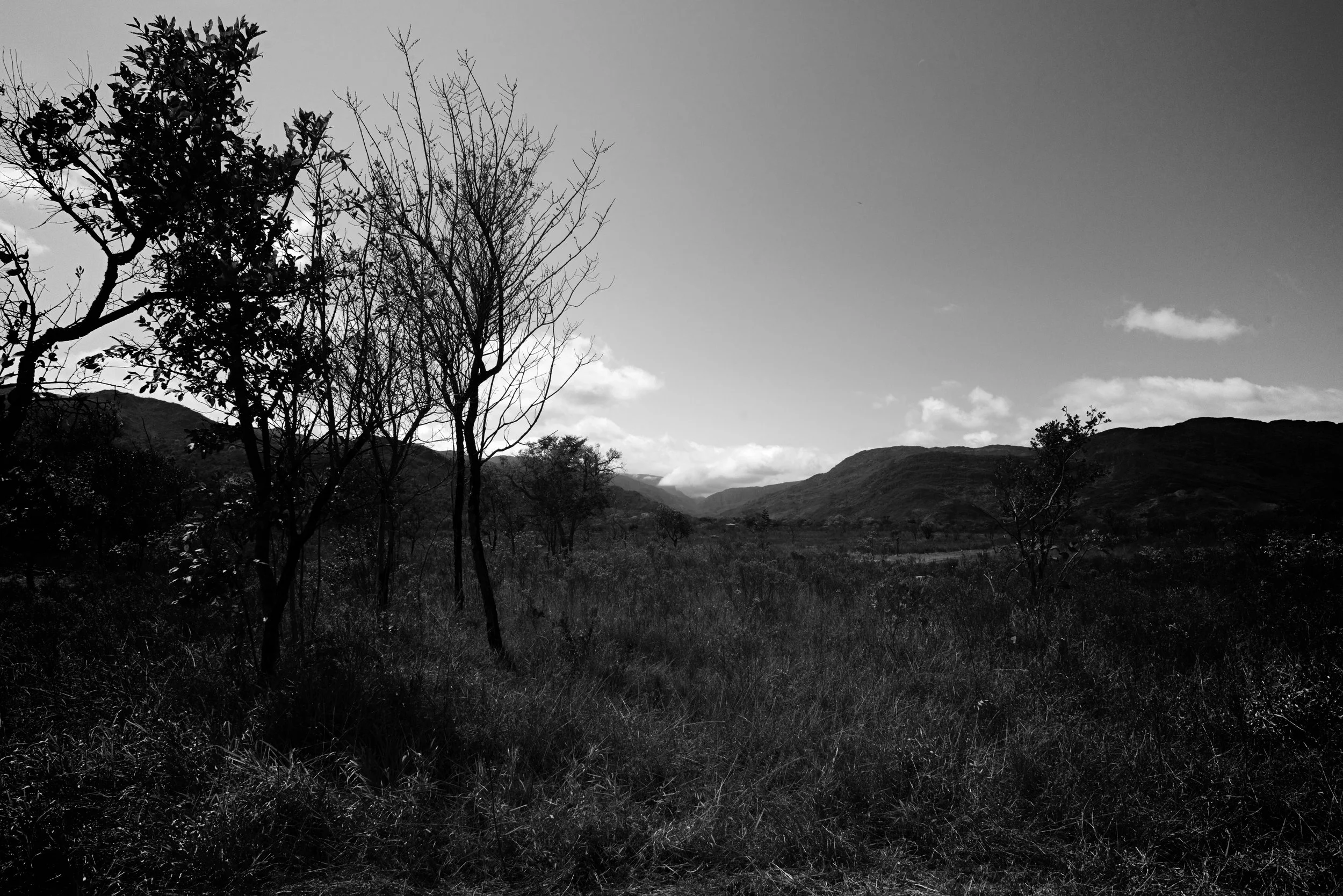 A black-and-white landscape photo showing trees, mountains, and a cloudy sky.