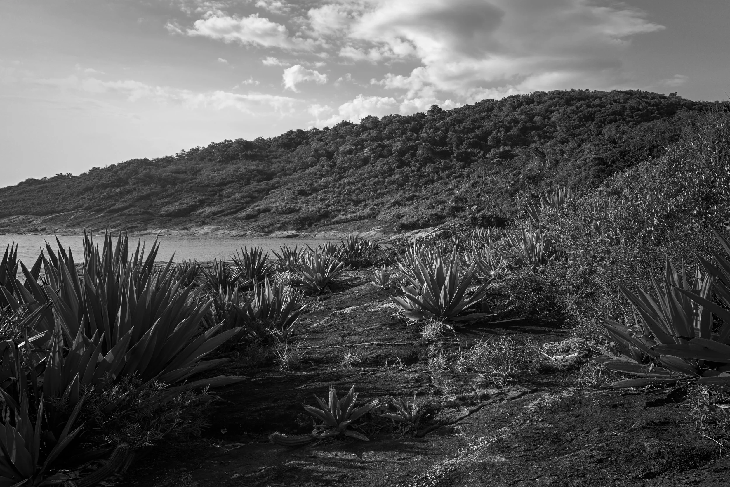 Black and white landscape photo of a hilly area with dense trees, a body of water in the foreground, and cloudy sky.