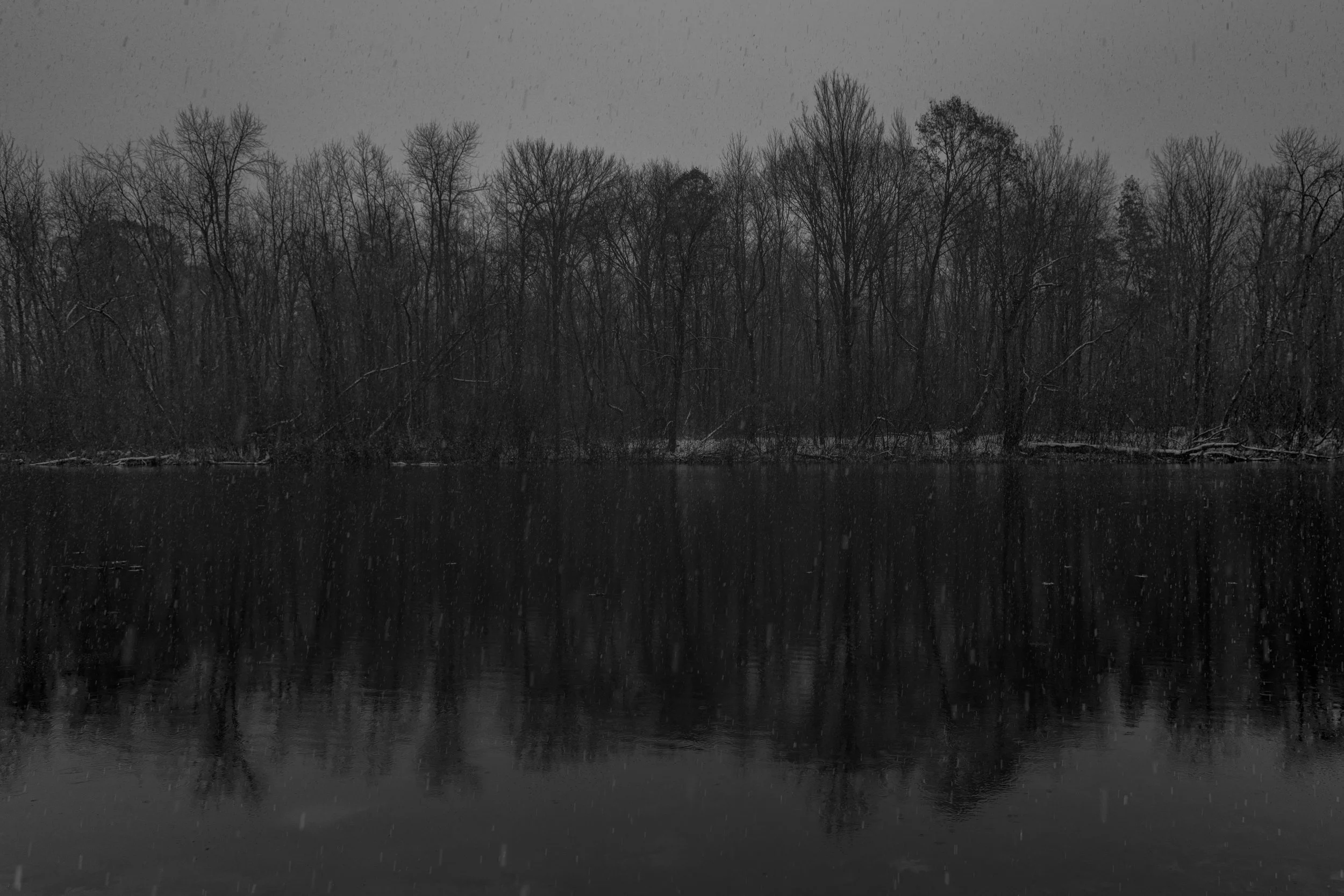 Black and white photograph of a dense forest with trees reflected on a body of water, possibly during snow or rain.