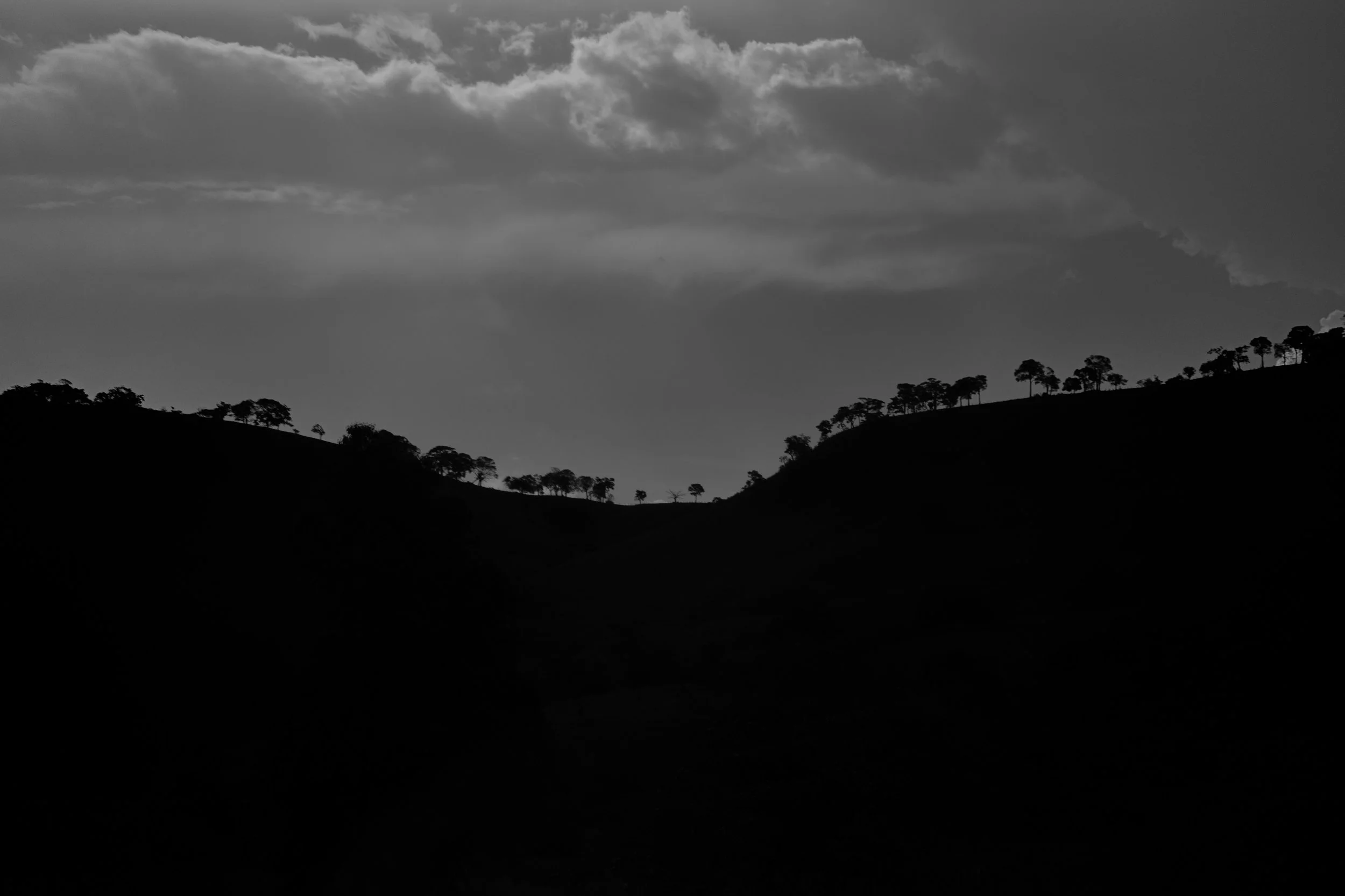 Silhouetted hills with trees against a cloudy sky in black and white.