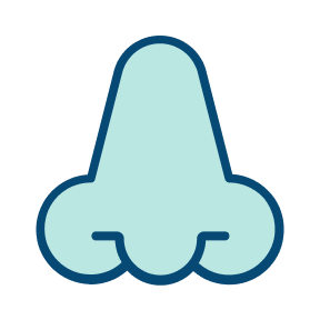 En tegneserie av en nese, lyseblå farge med mørkeblå kant