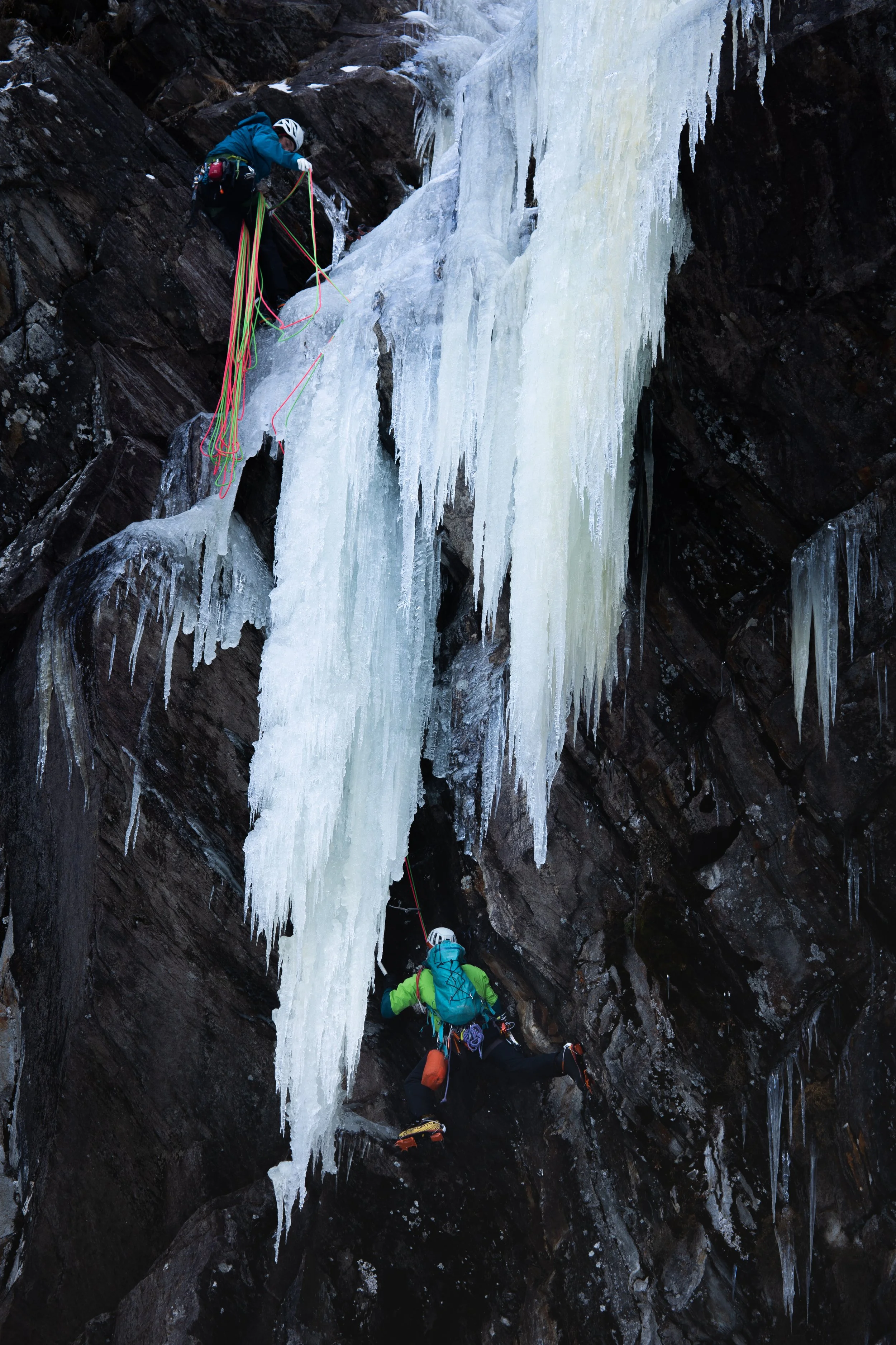 30. Jänner 2023-IMG_3634.jpg