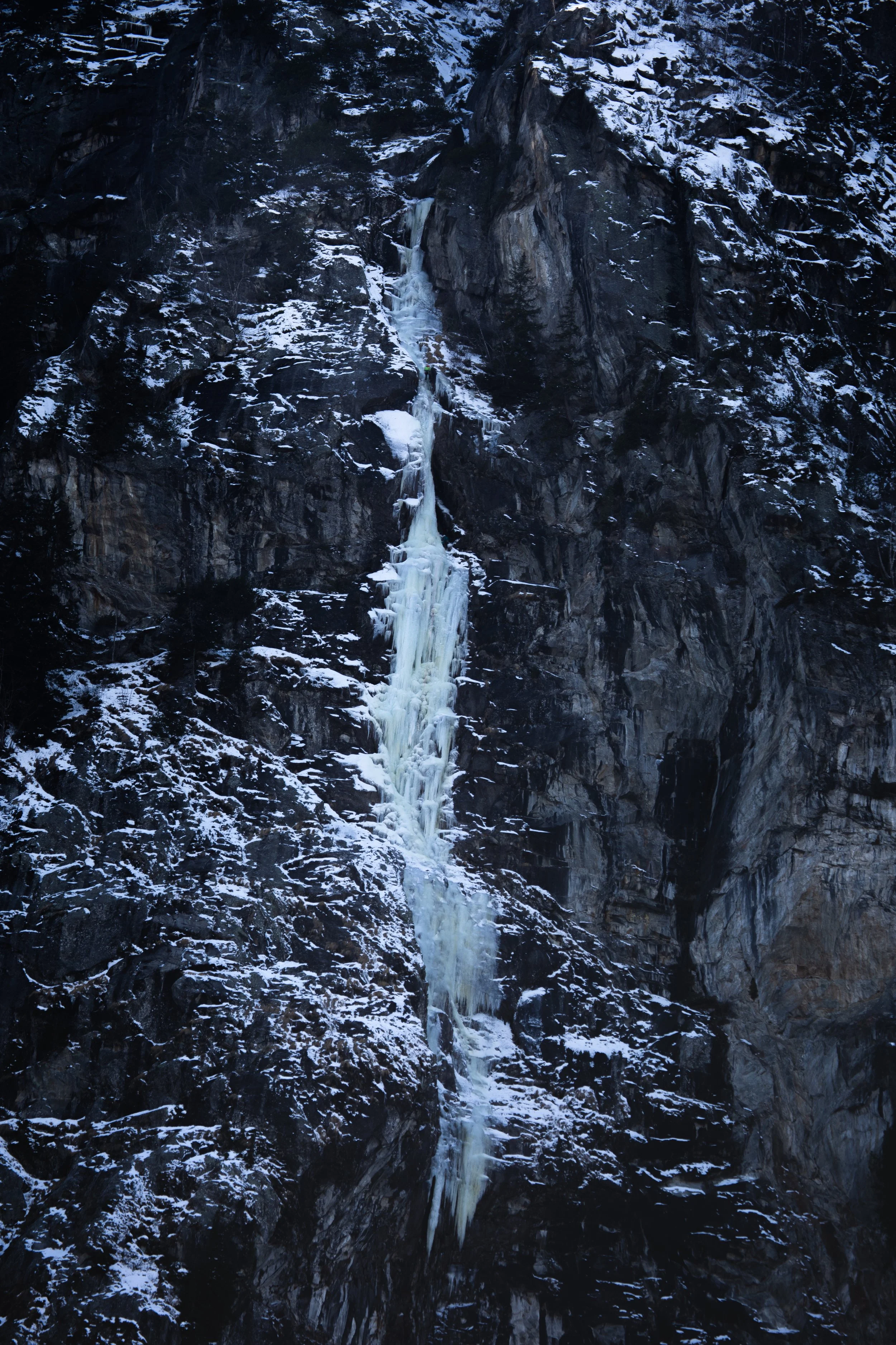 30. Jänner 2023-IMG_3707.jpg