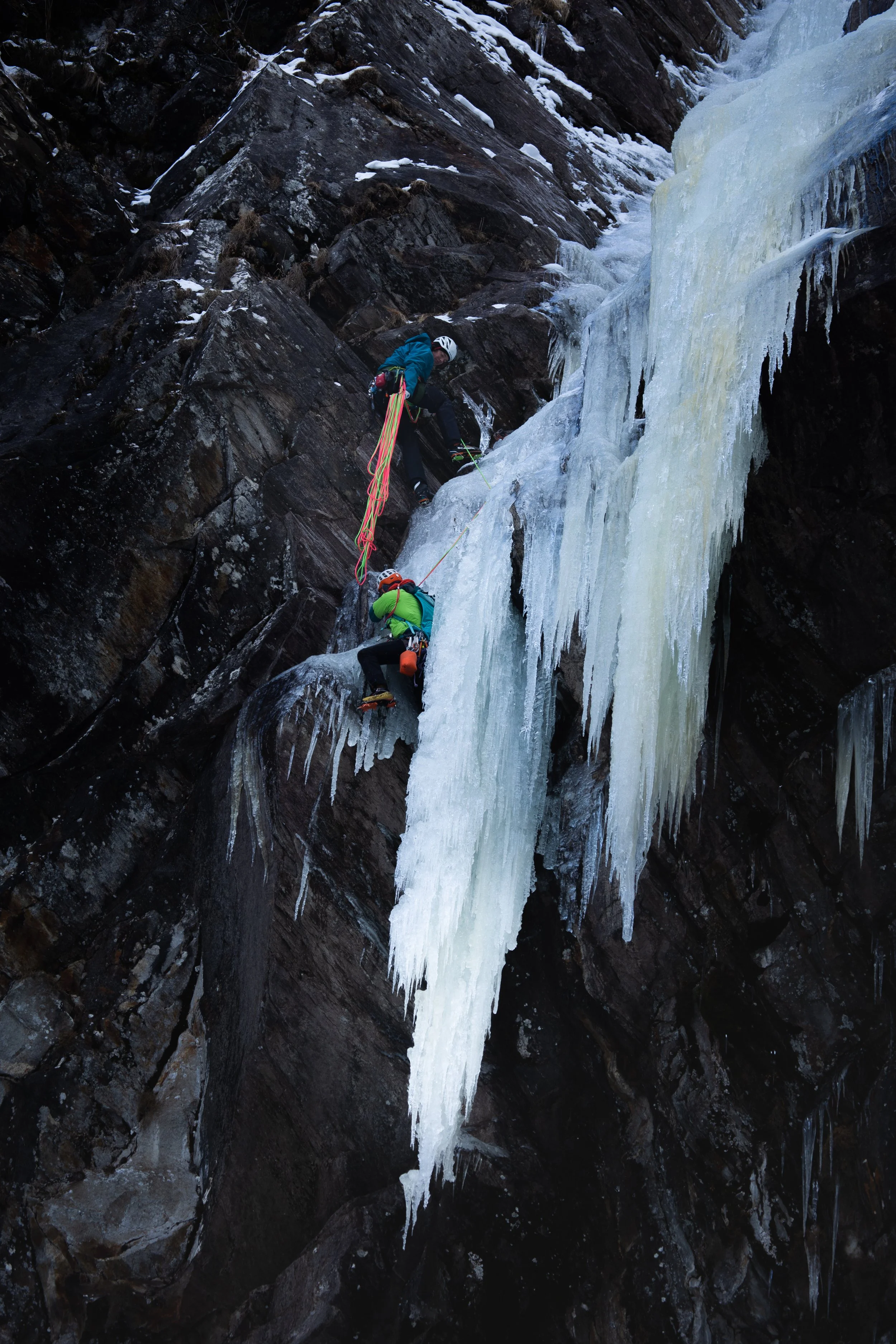 30. Jänner 2023-IMG_3637.jpg