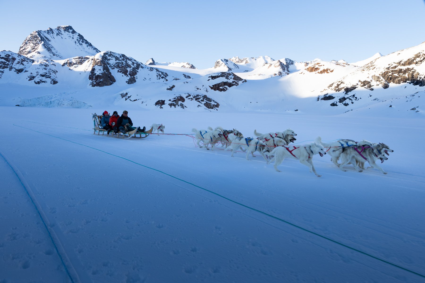 Schlittenfahrt mit fünf Personen, von Hunden gezogen, in einer verschneiten Berglandschaft mit hohen, schneebedeckten Bergen im Hintergrund, bei hellem Tageslicht.