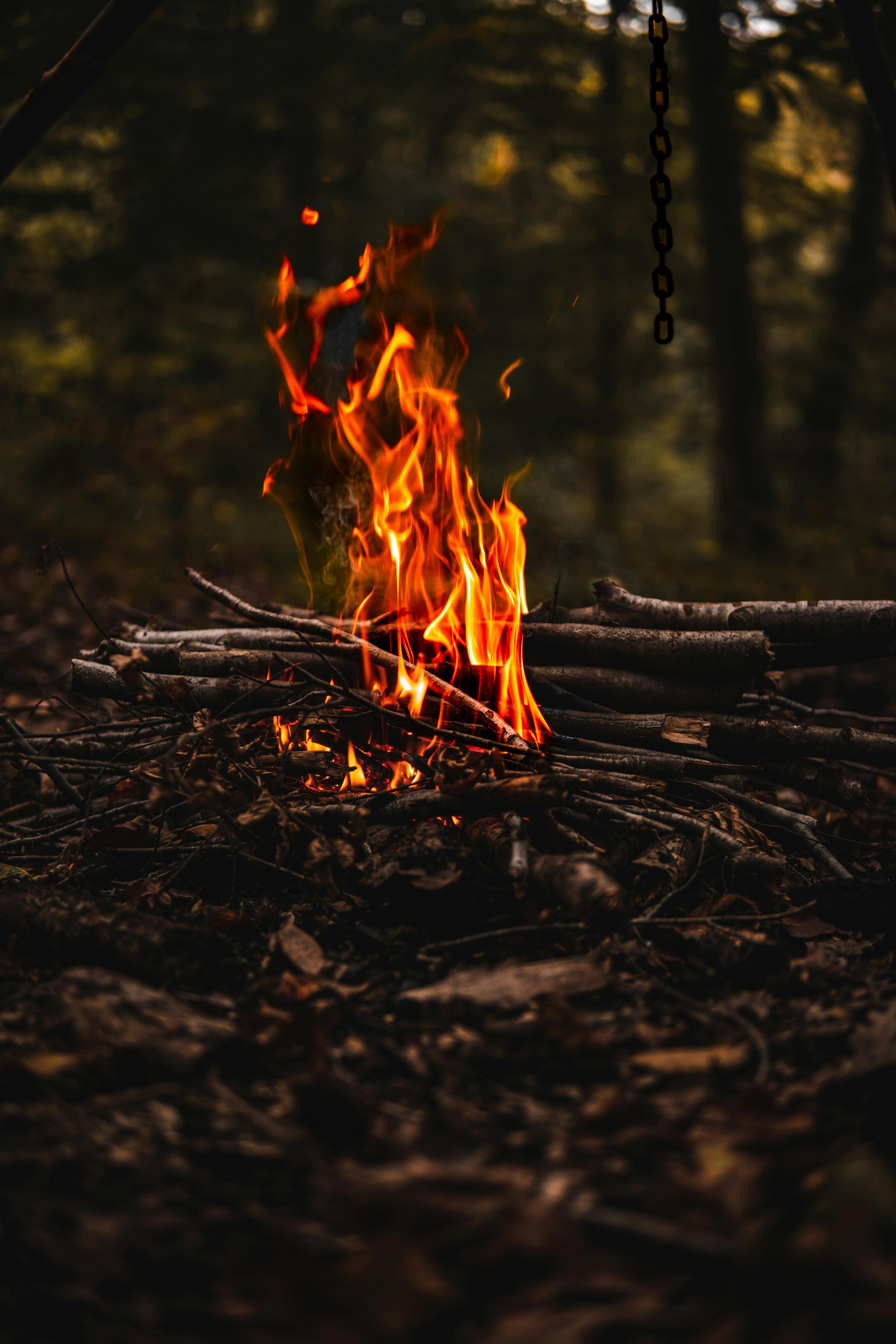 The Element of Fire: Adult Fire Making Program – Rekindling Traditional Skills & Outdoor Confidence