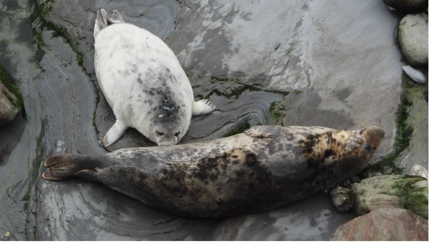 mum and pup