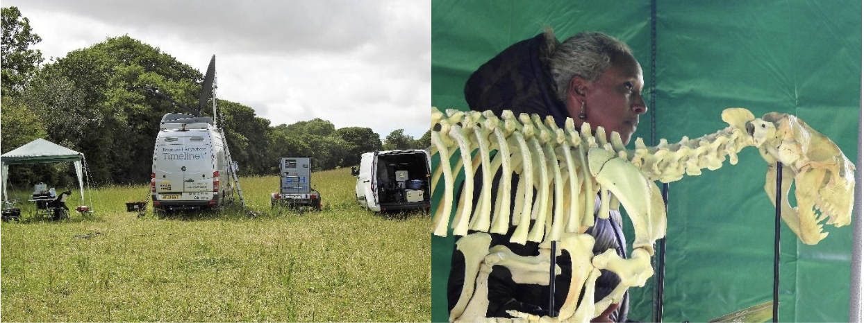 Septimus &amp; Springwatch