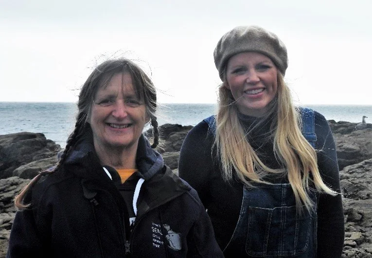 Seals on Countryfile