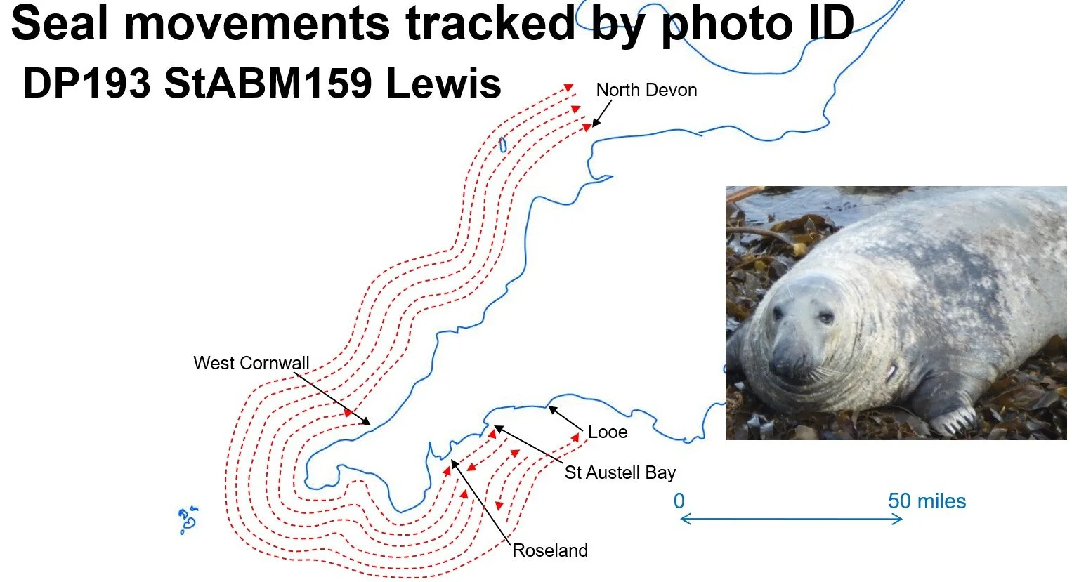 Post release monitoring case studies