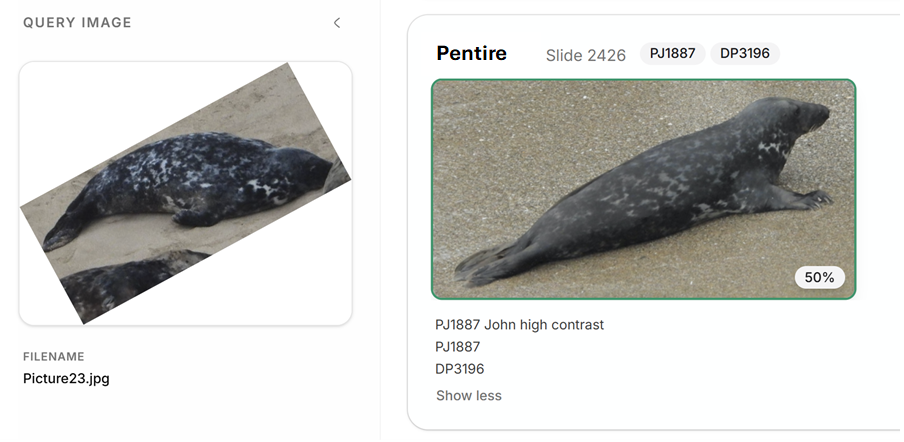 Seal Match software