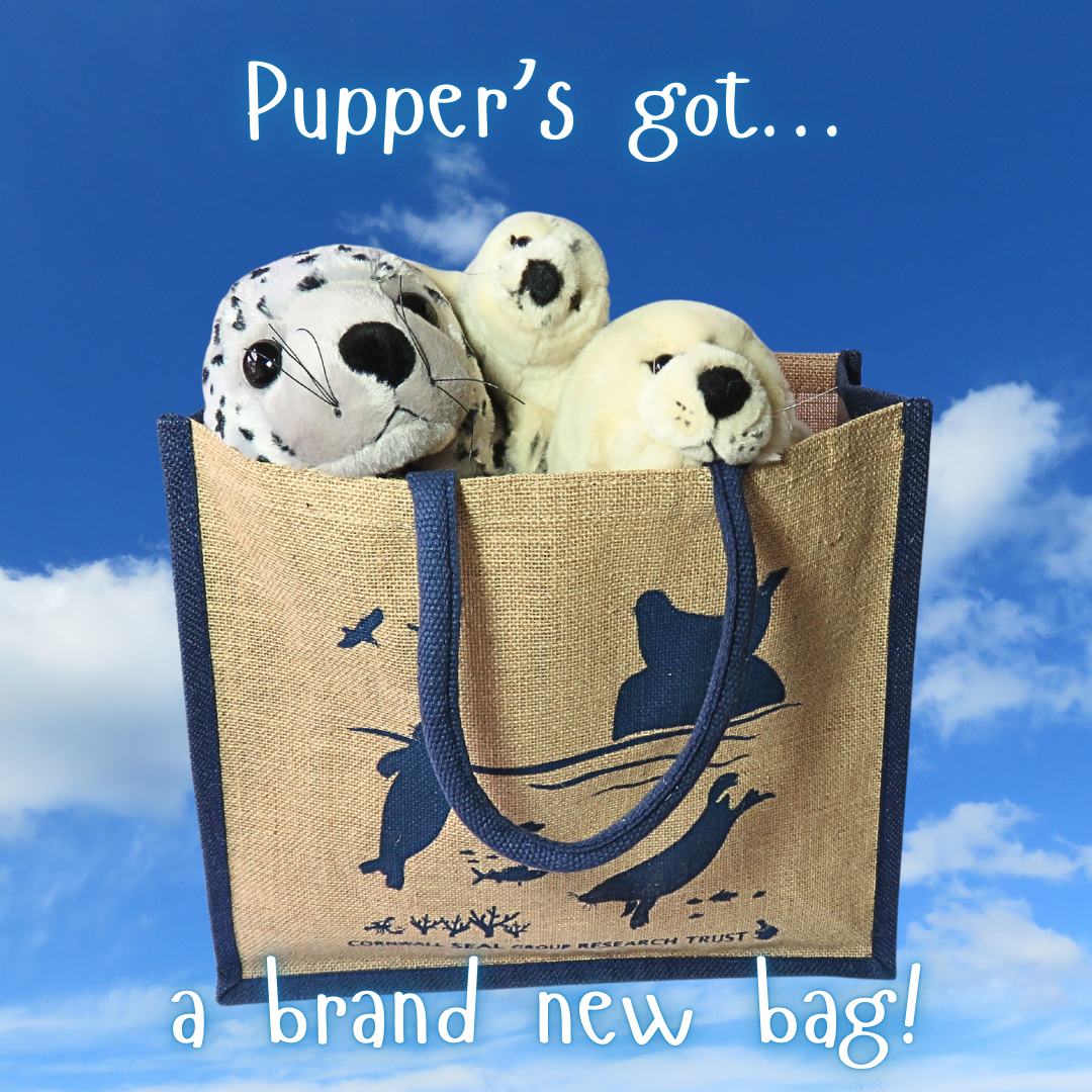 Jute Bag with SRT Design