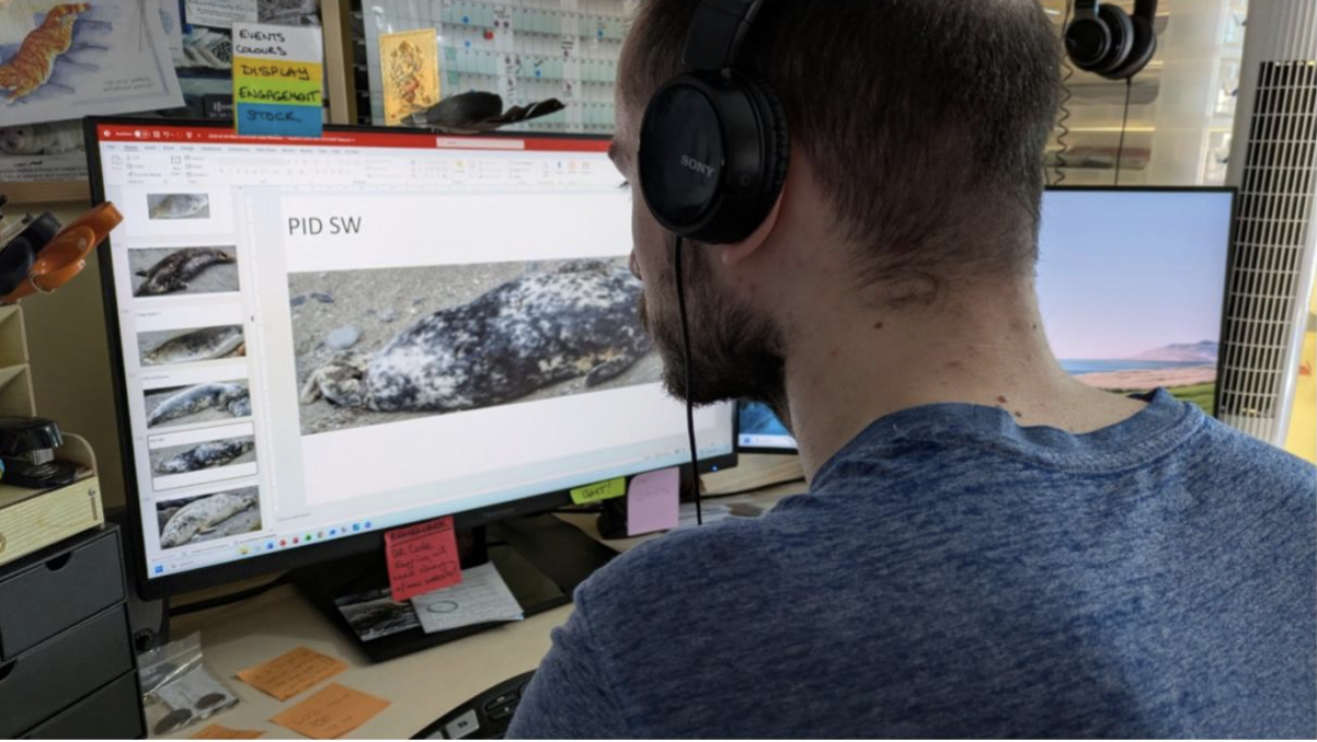 SRT offer free online volunteer training