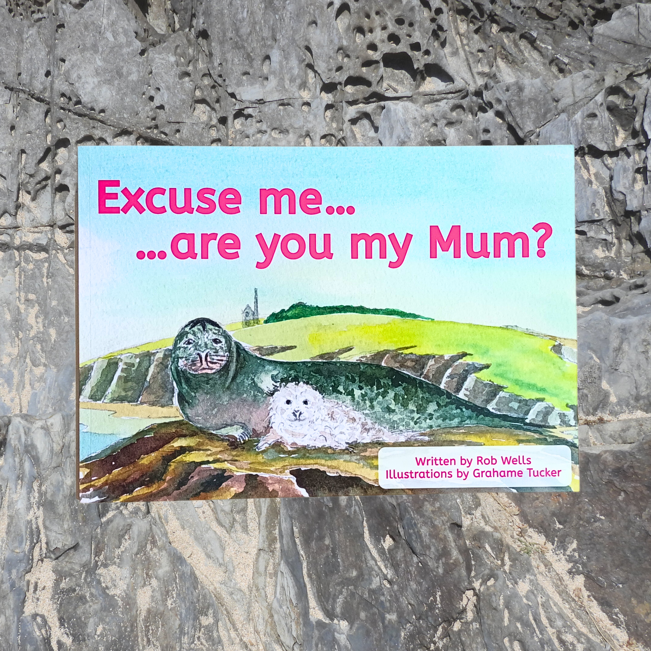 Excuse Me...are you my Mum?