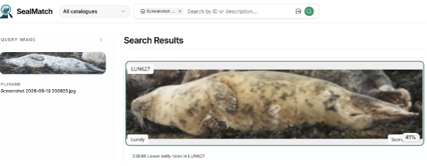Seal Match