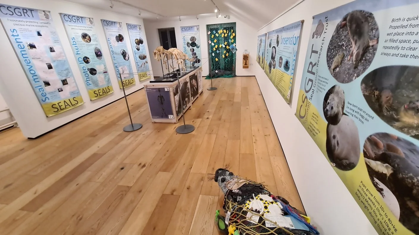 Seal, Art and Science&nbsp;