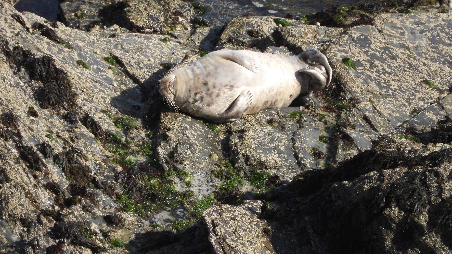 What do we need now?