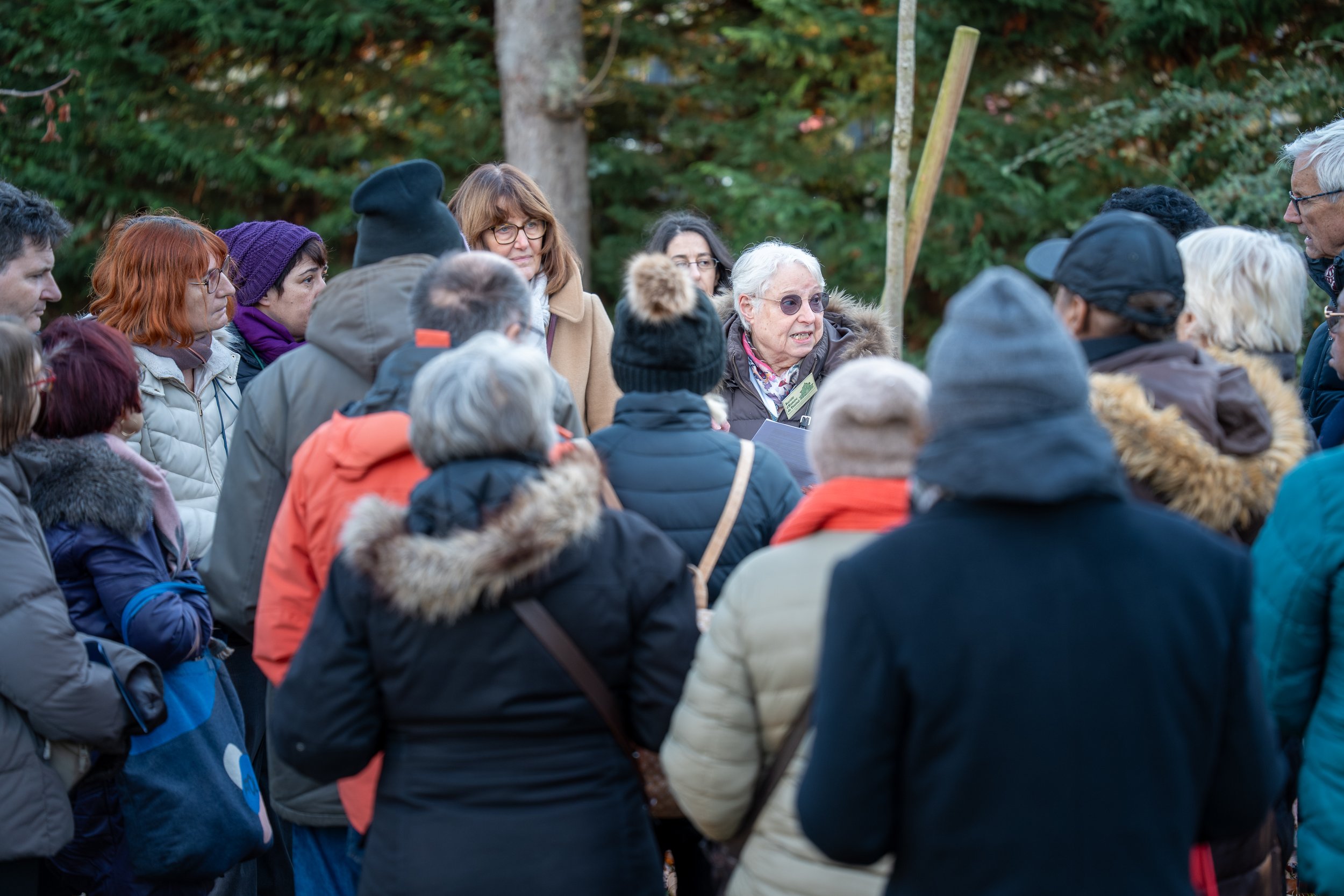 selection-24 (1).jpg