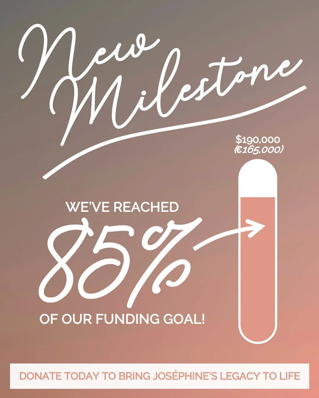 Thanks to the generosity of organizations and individuals in the United States and France, the Jos&eacute;phine Baker Commemorative Site has reached 85% of its fundraising goal ✨

Your contribution can help complete this vision and ensure Jos&eacute;