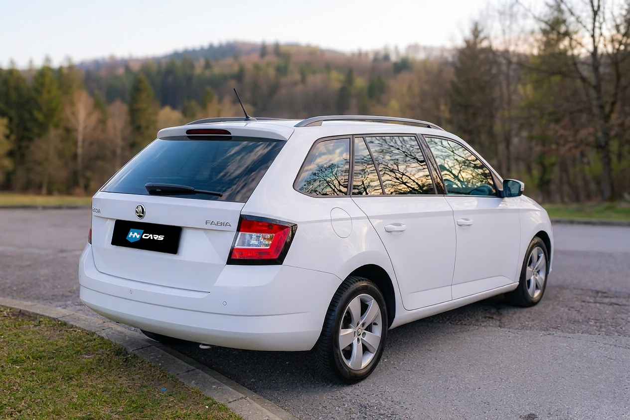 fabia_3_final.png
