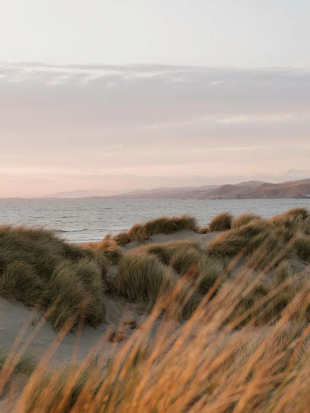 What will you do with the last month of the year?