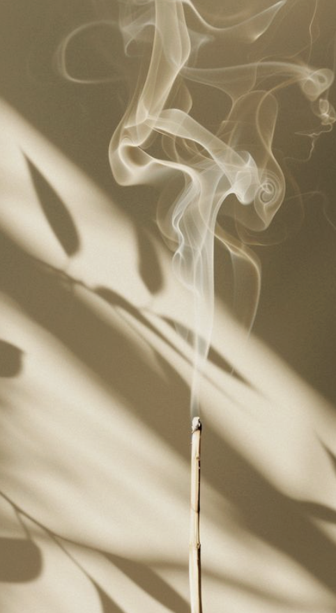 One more meditation for this year.