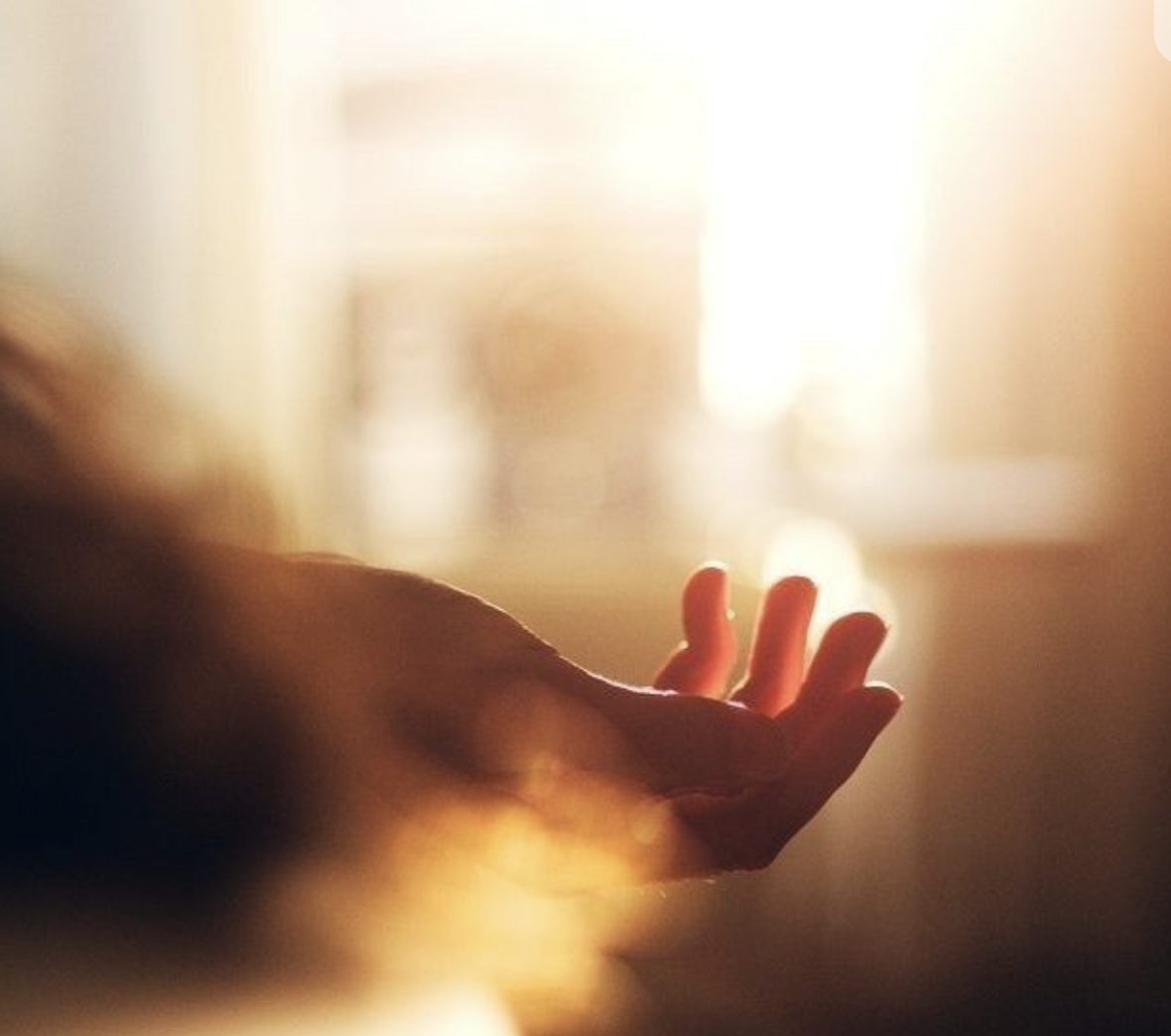 A Little Gift of Gratitude for You