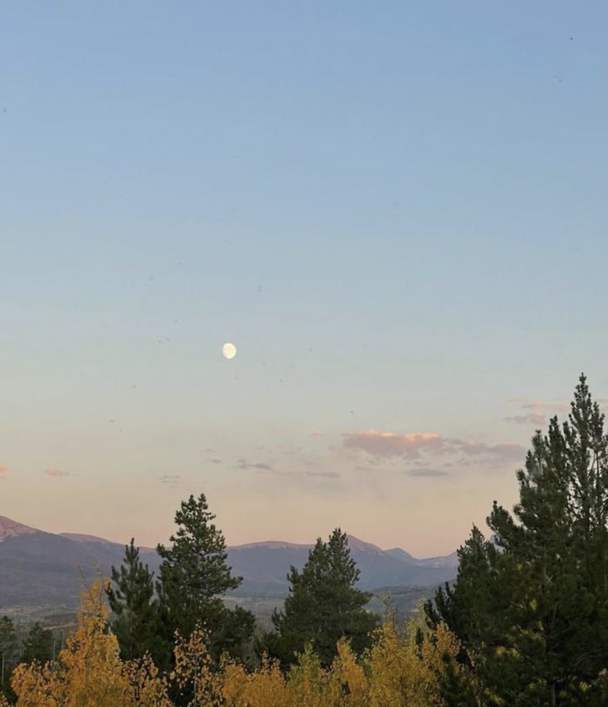 Let this be the year you meditate consistently.