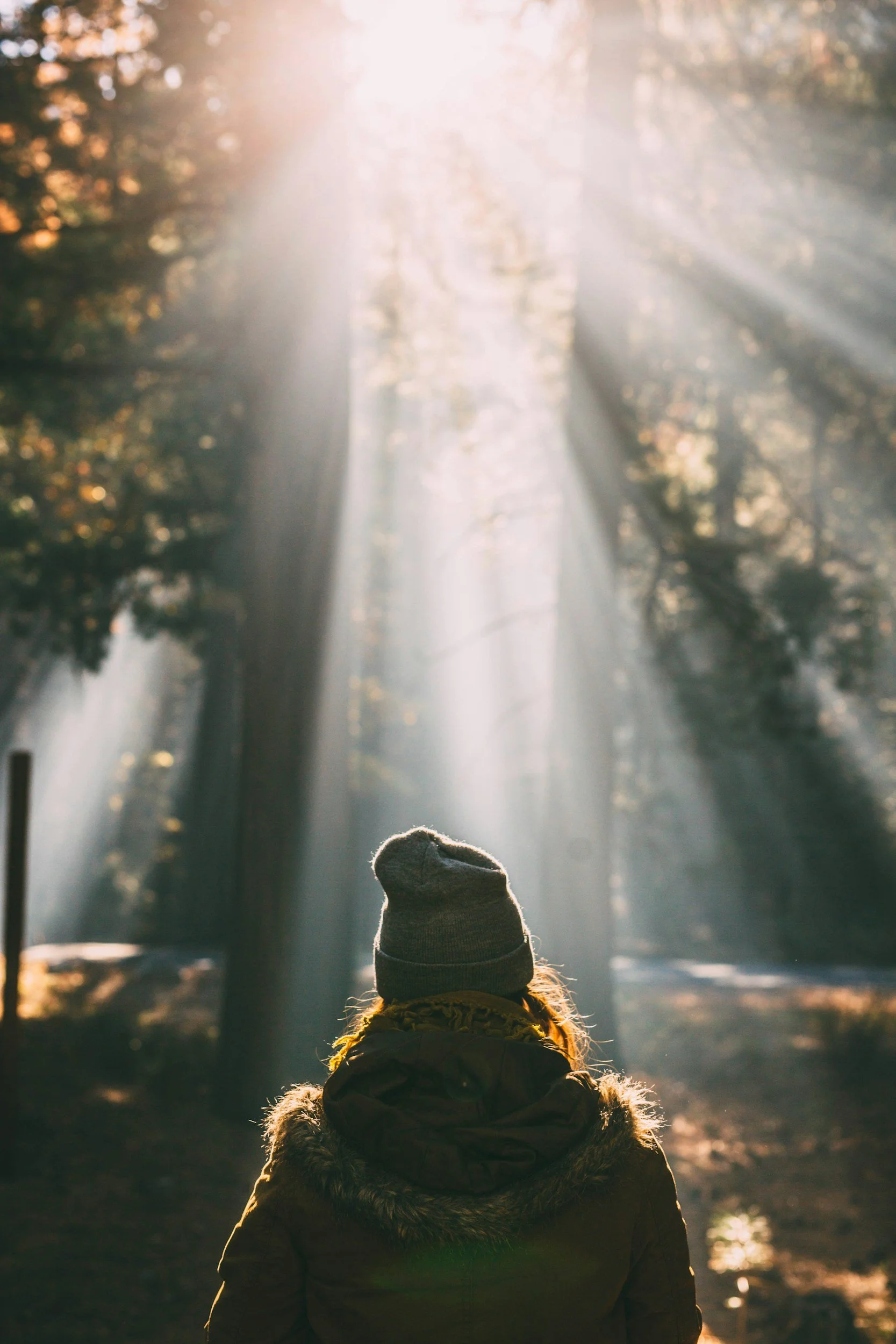 A person wearing a knit hat and jacket with a fur collar stands in a forest while sunlight filters through trees, creating a hazy glow.